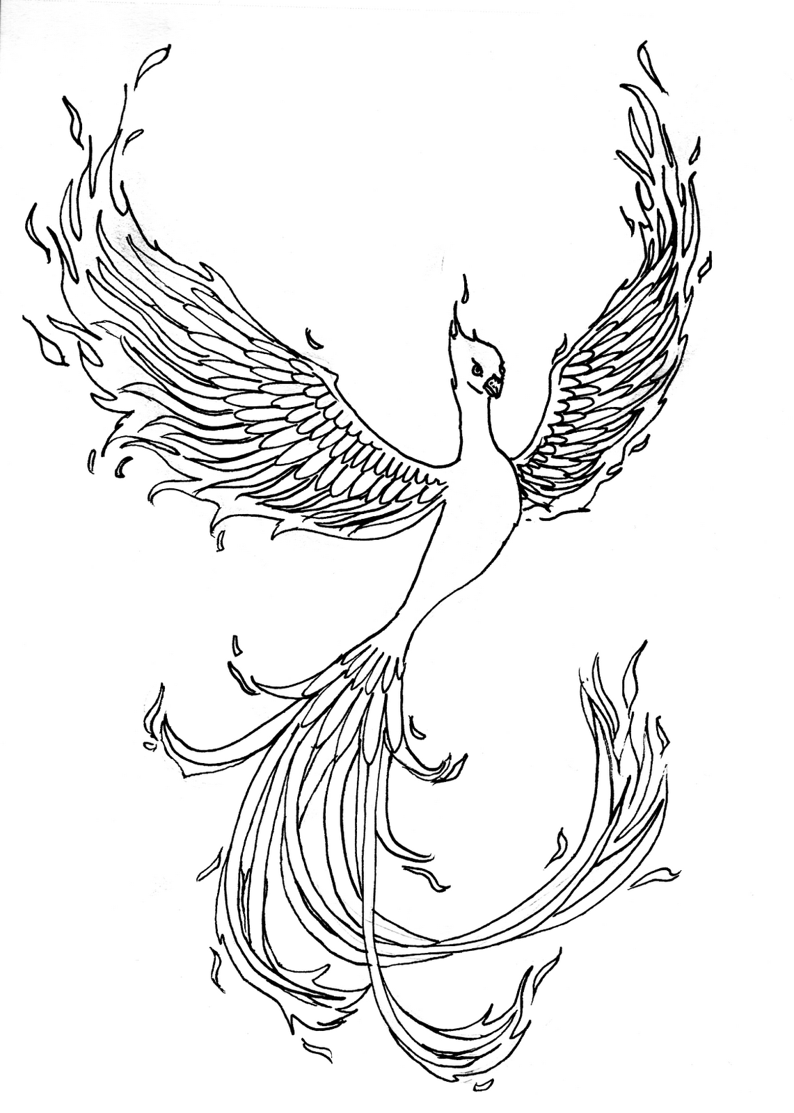 21 Phoenix Coloring Pages Free Coloring Pages