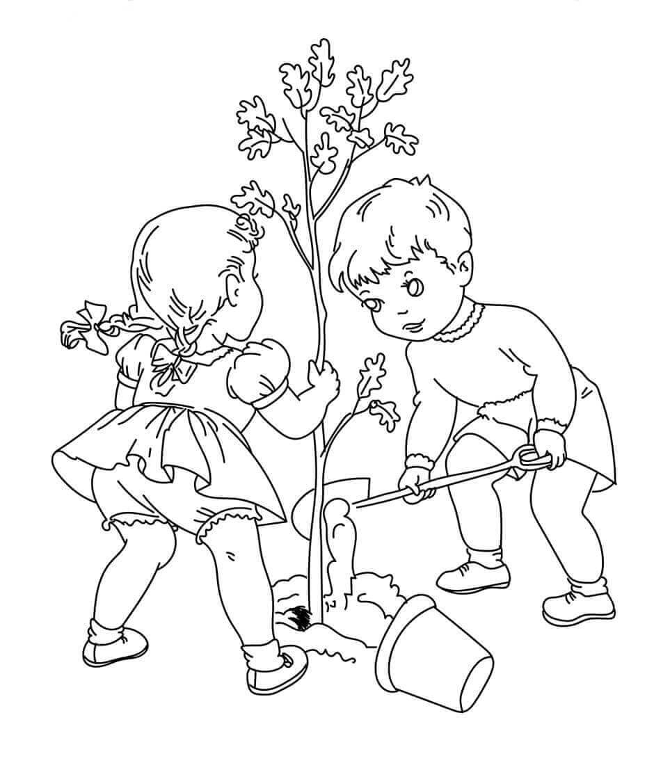 Printable Color Pages Tree Cycle
