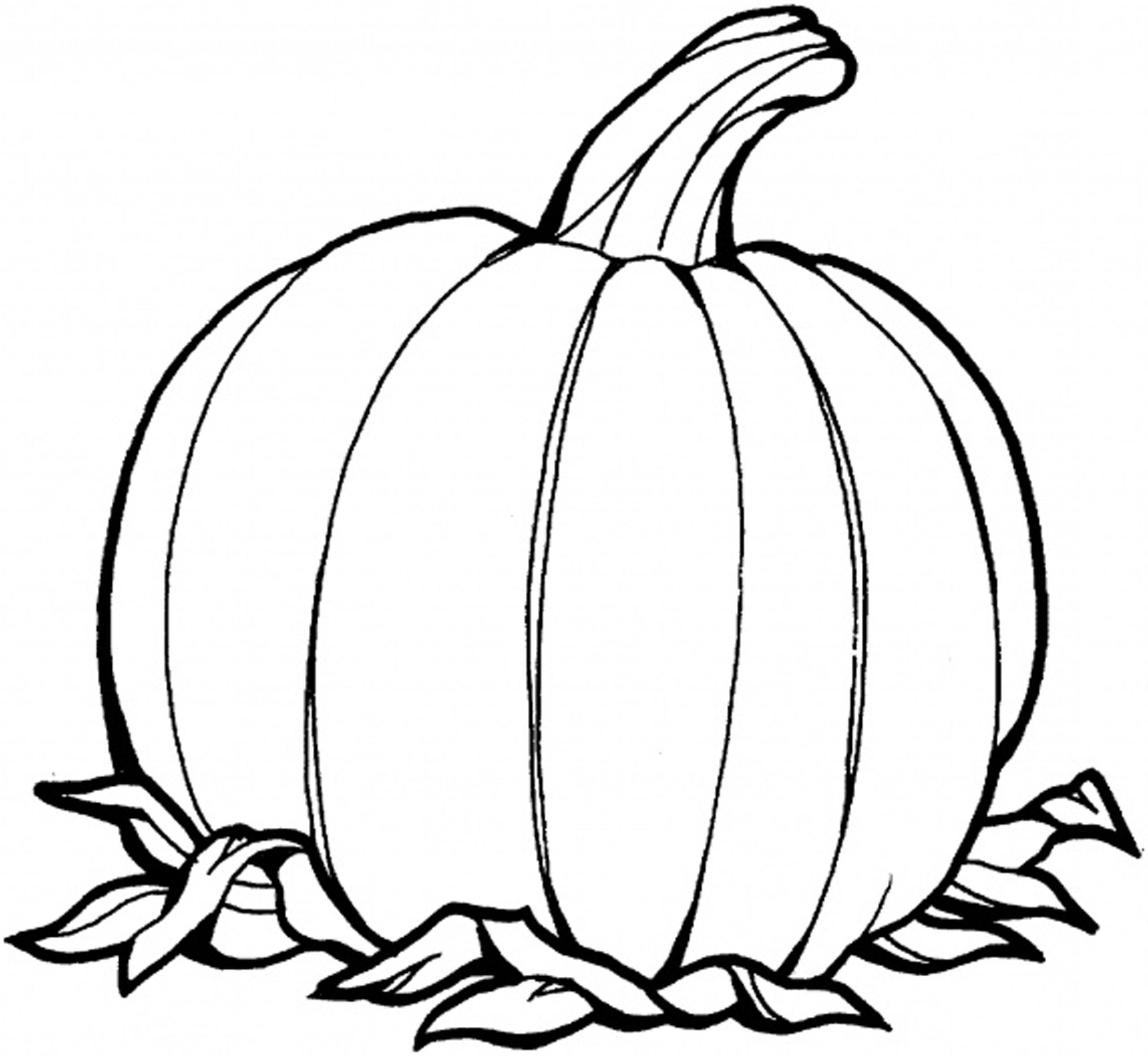7 Pics Of Pumpkin Coloring Pages Templates Blank Pumpkin Coloring Home