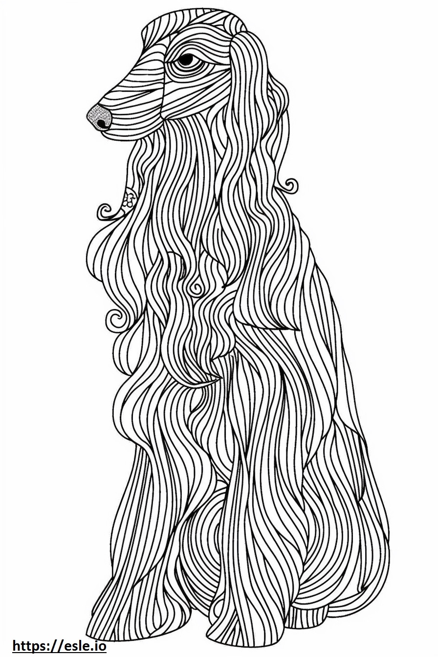 Afghan Hound Coloring Pages