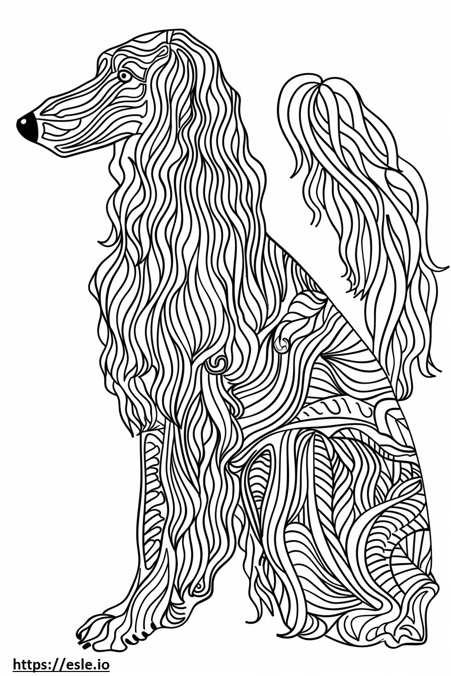 Afghan Hound Cute Coloring Page