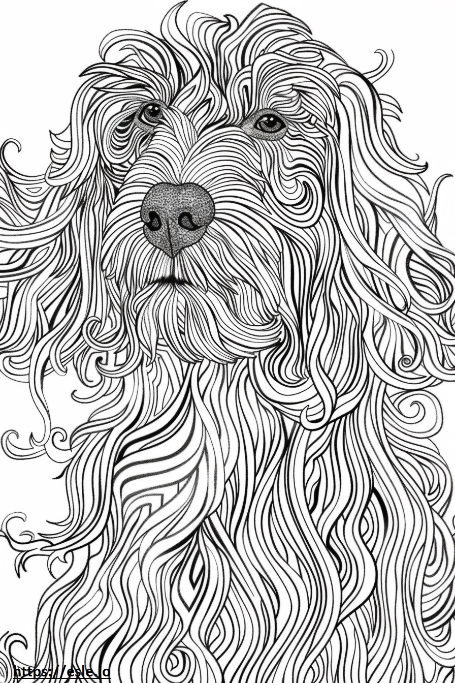 Afghan Hound Happy Coloring Page
