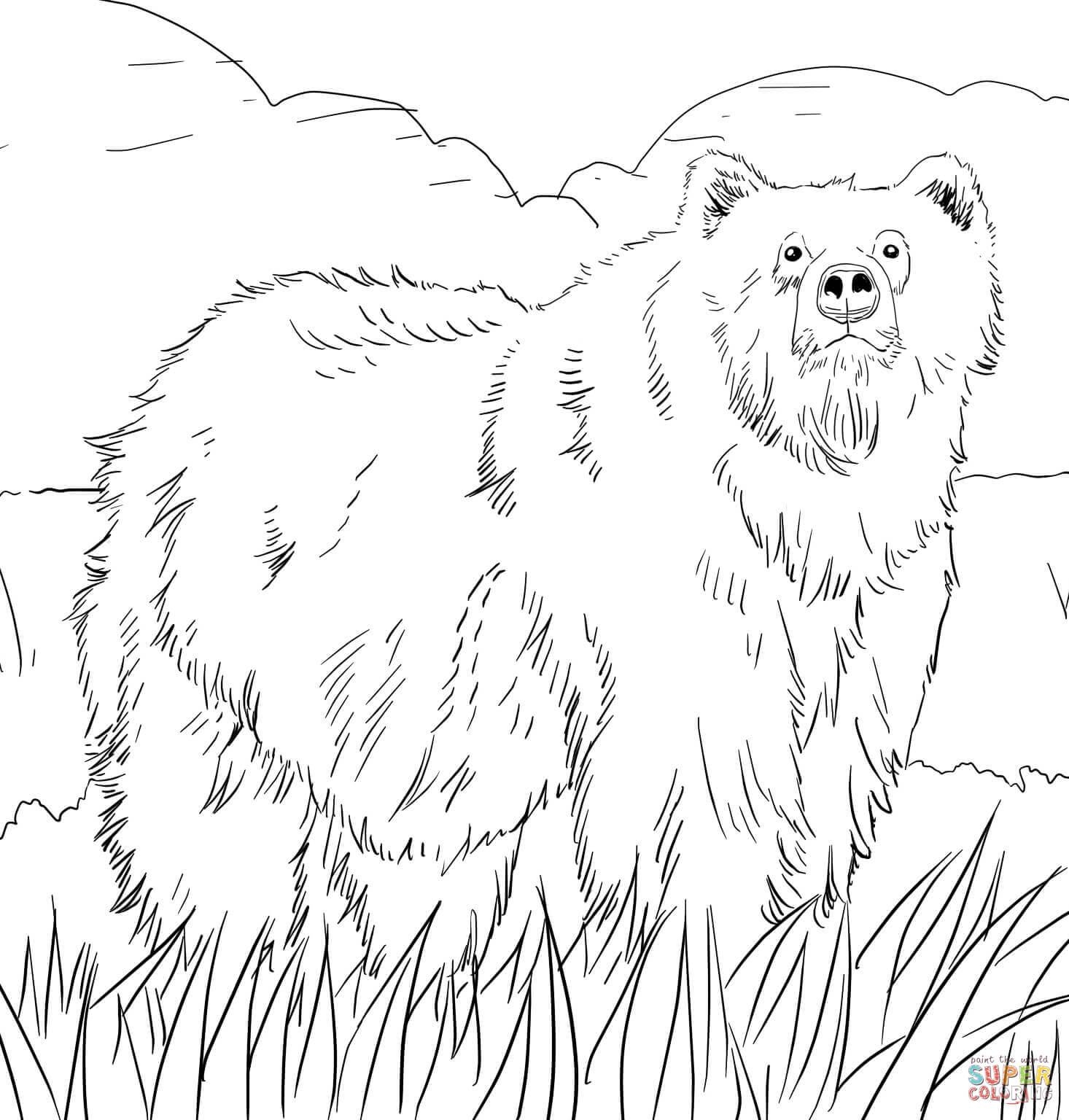 Alaska Map Coloring Page At GetColorings Free Printable Colorings Pages To Print And Color