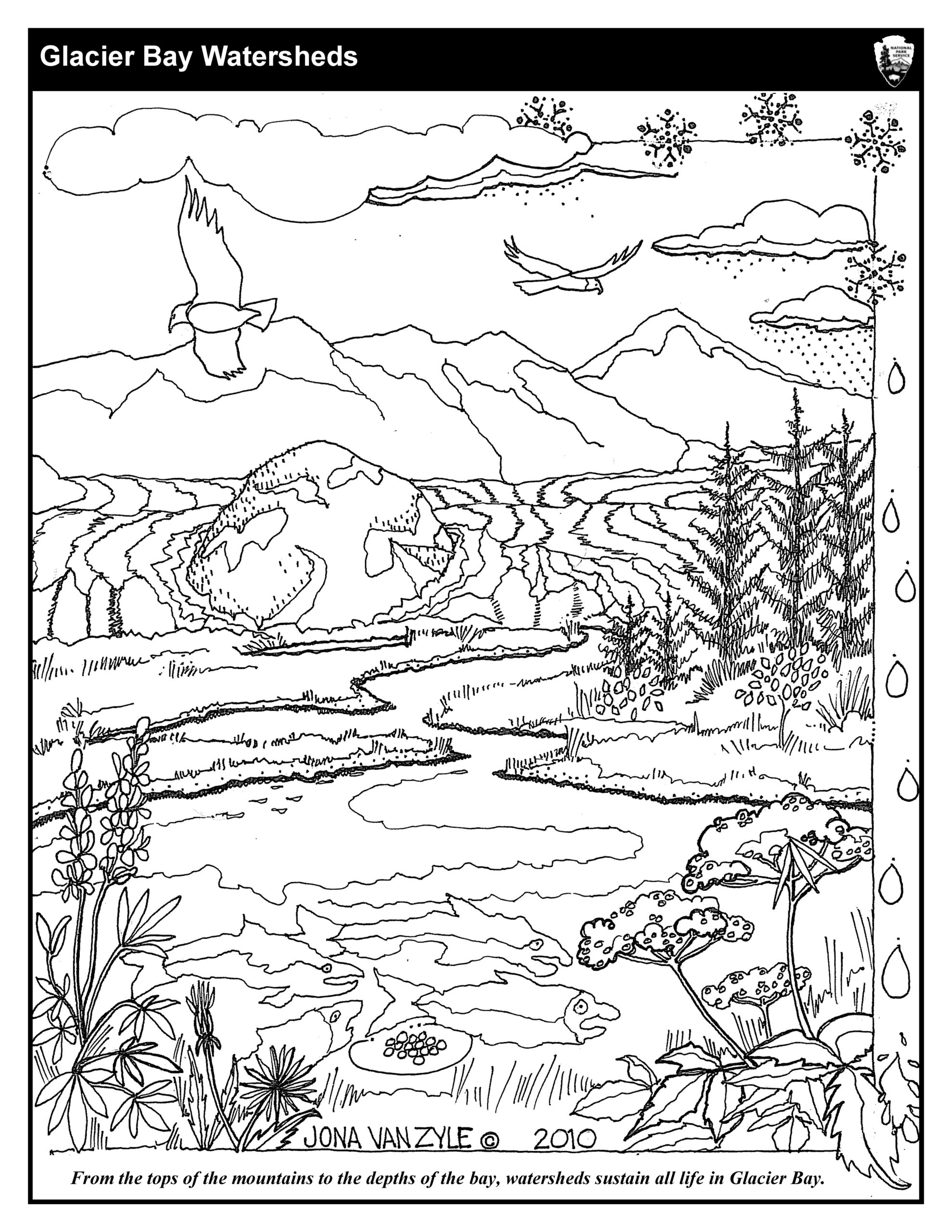 Alaska State Bird Coloring Page