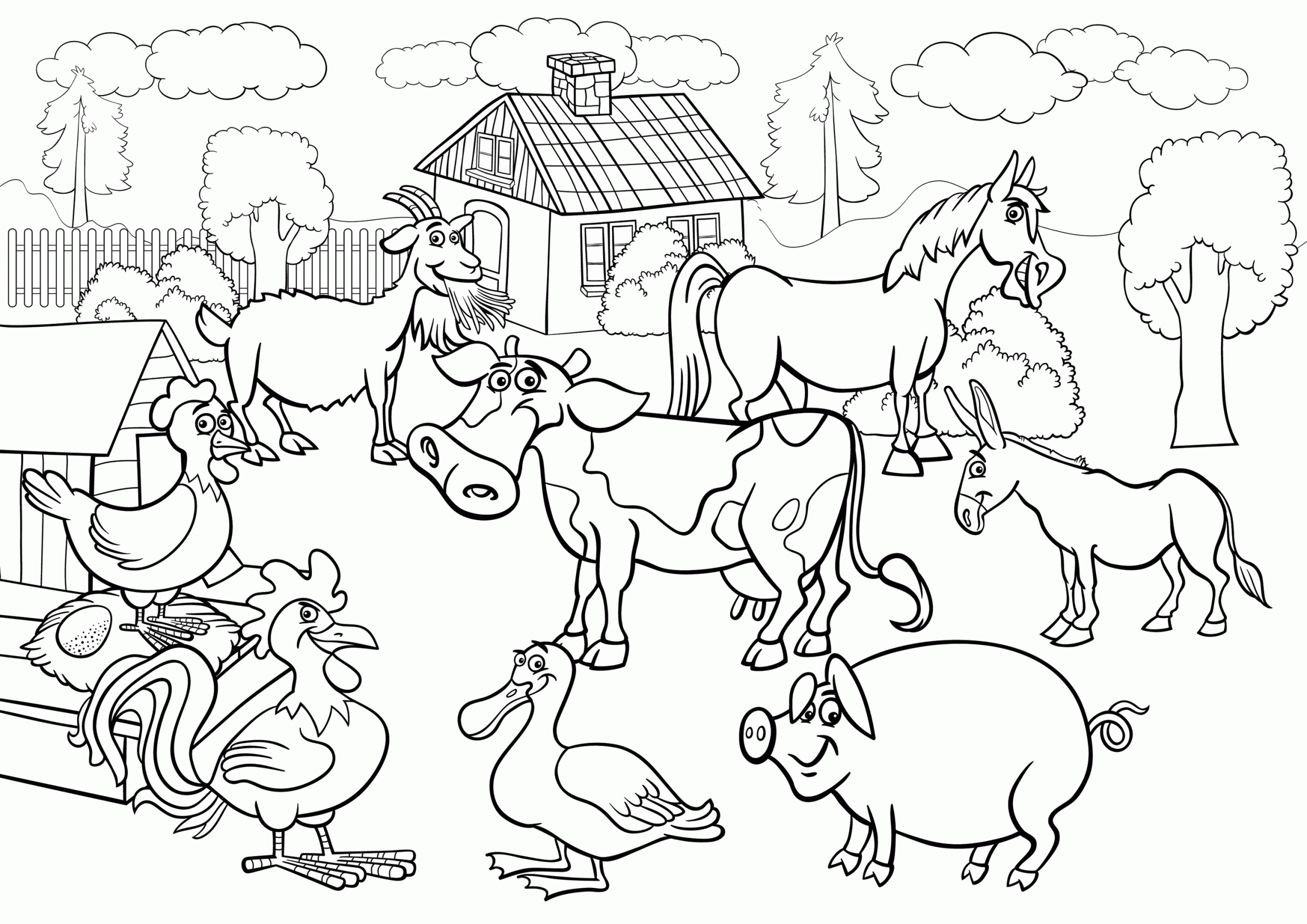 Animals In A Farm