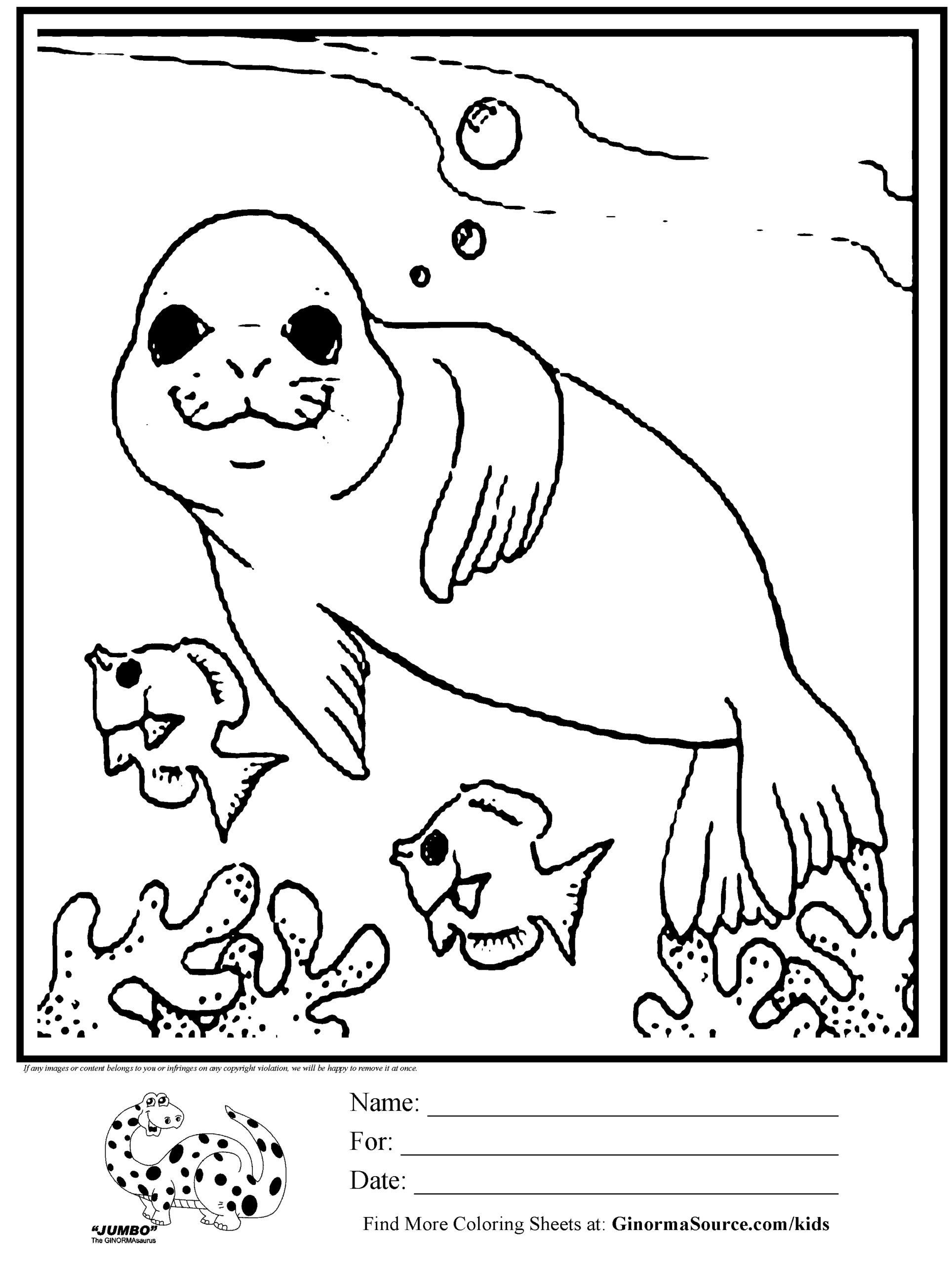 Baby Seal Coloring Pages Coloring Home