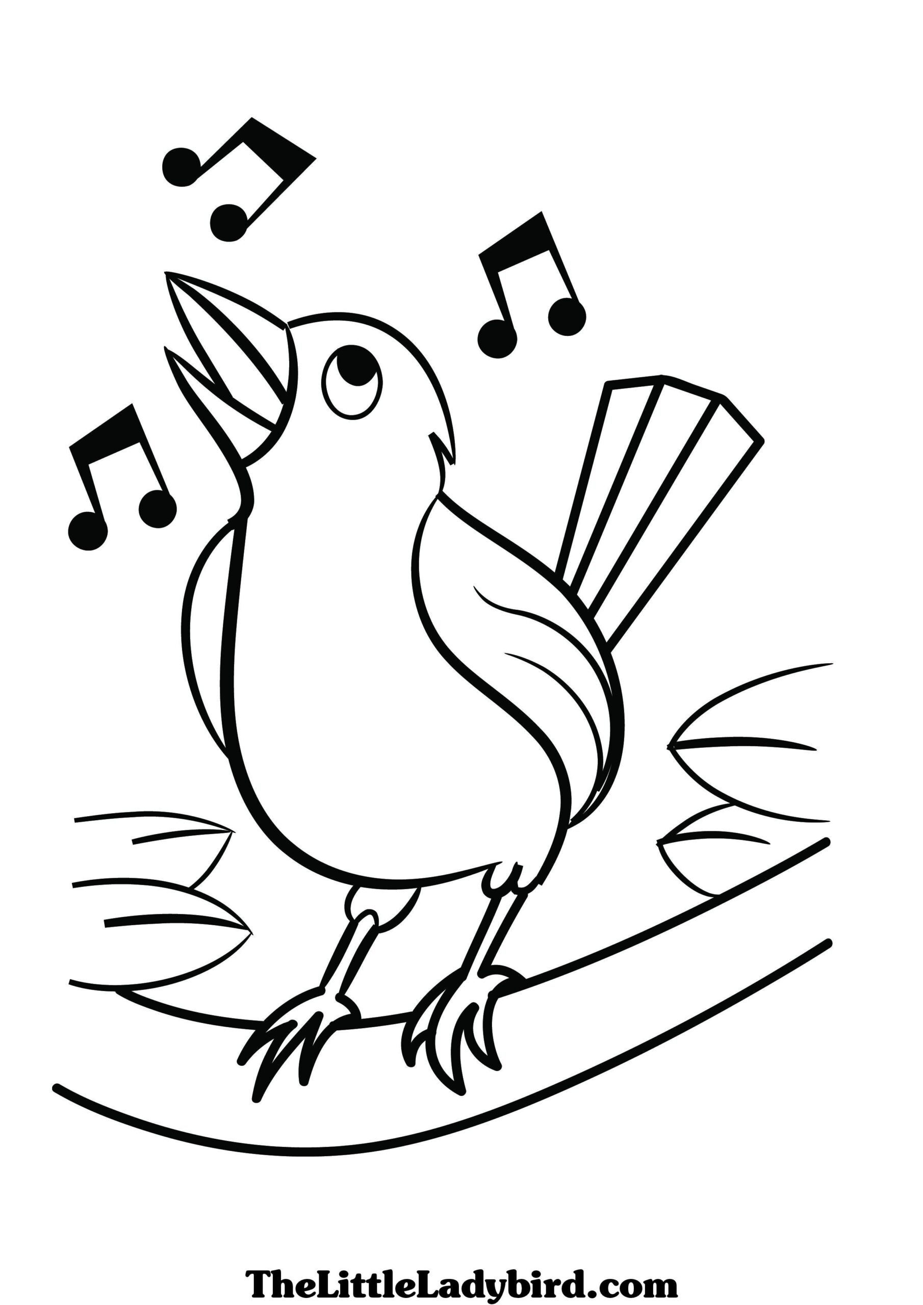 Bird Coloring Pages Free Download On ClipArtMag
