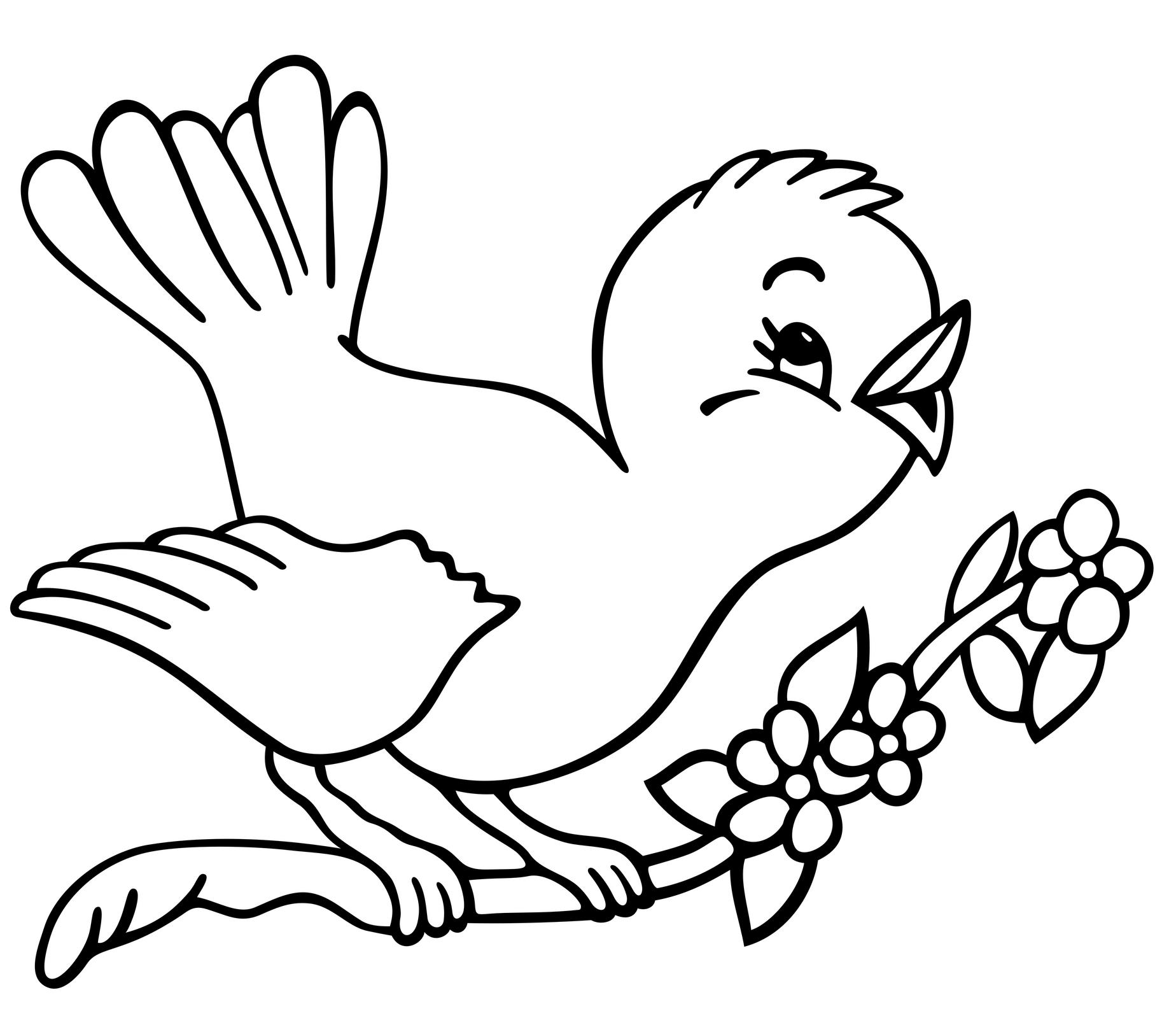 Birds Coloring Pages To Knowing The Kind Of Birds Name Coloring Pages