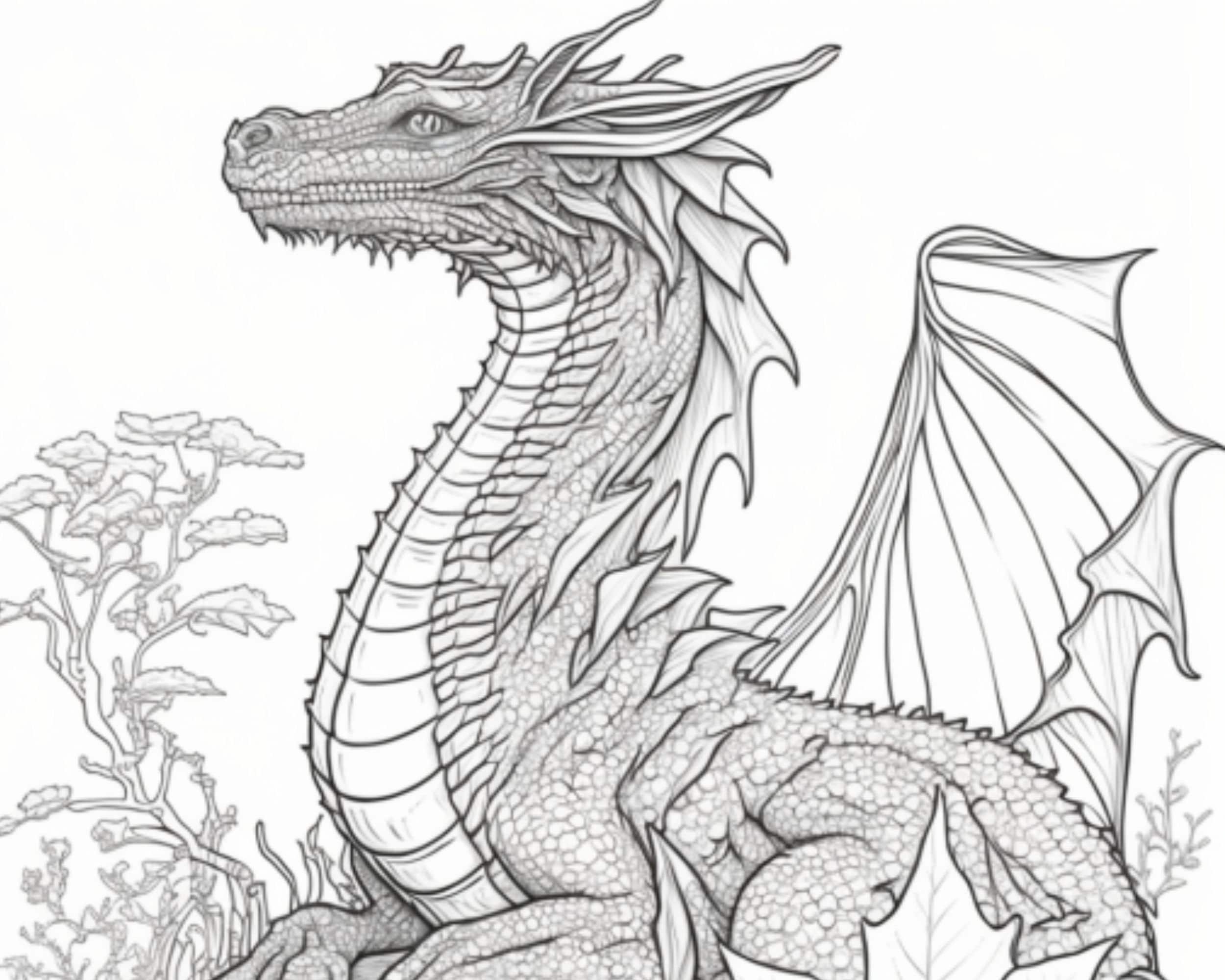 Captivating Dragon Coloring Pages Set Of 3 Printable Black White PDF Illustrations For Adults