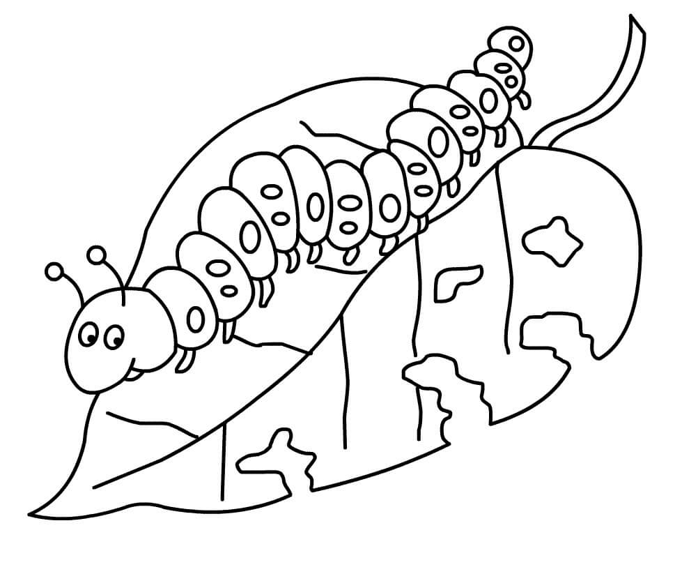 Caterpillar Coloring Page