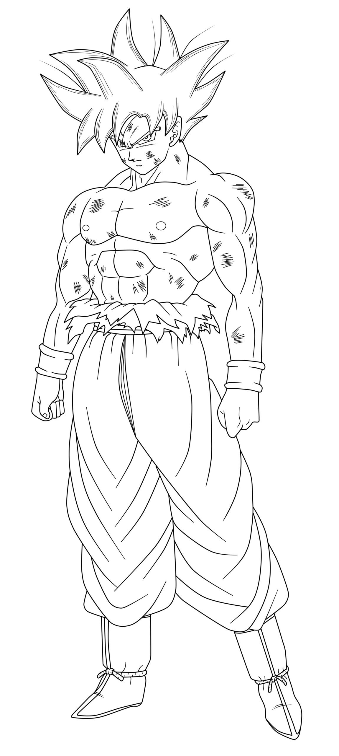 Coloring Pages Goku Brigid Vonhagen