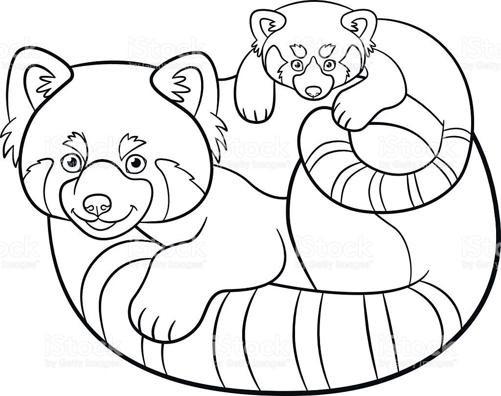 Coloring Pages Mother Red Panda With Her Cute Baby Panda Coloring Pages Red Panda Puppy