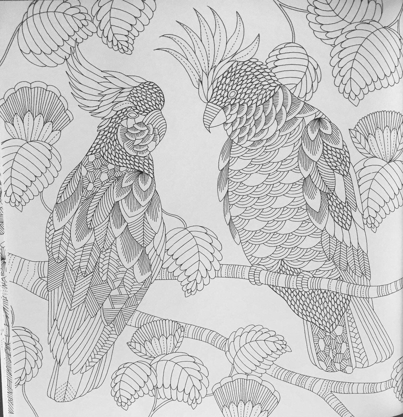 Coloring Pages Tropical World Printable
