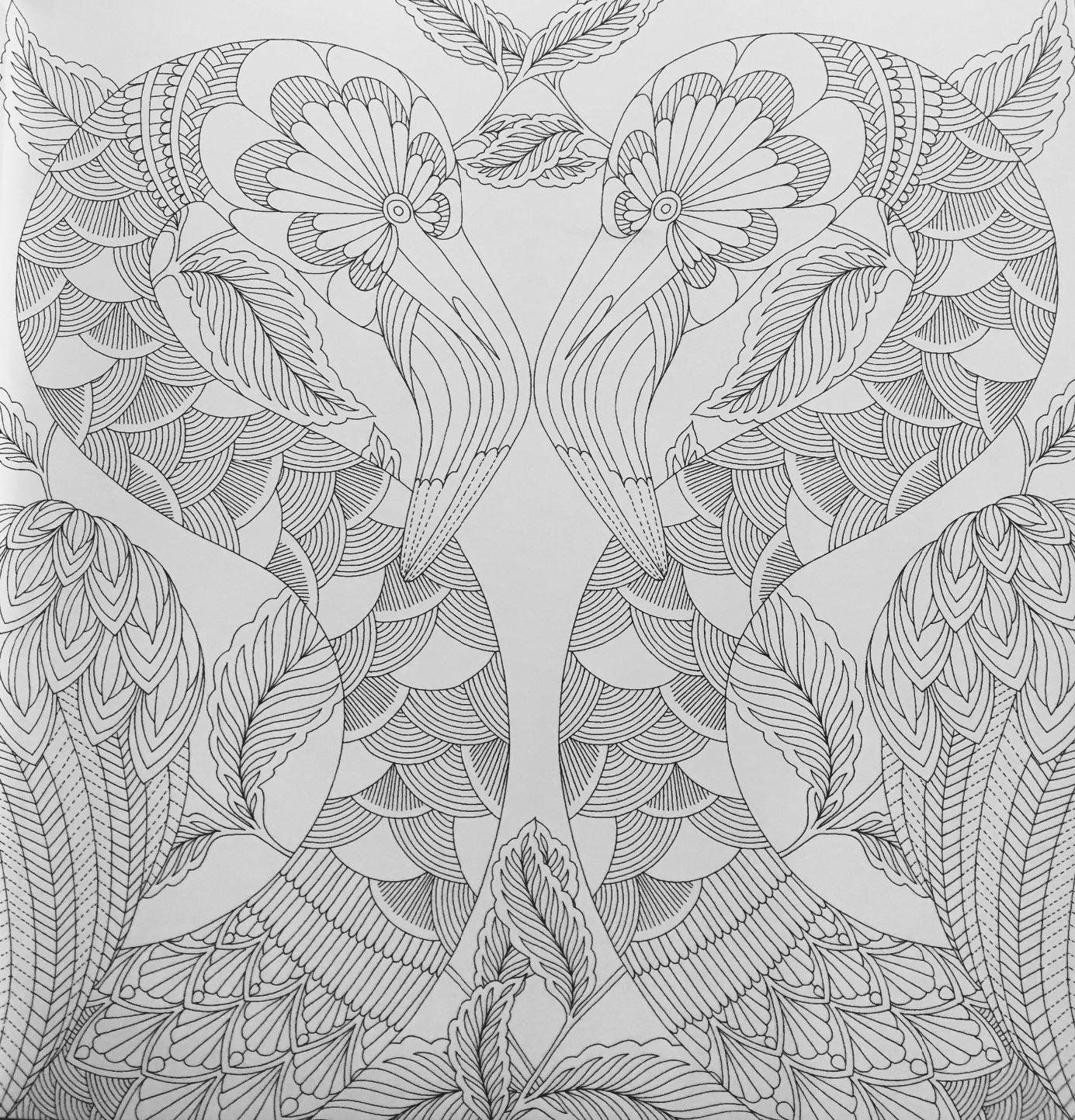 Coloring Pages Tropical World Printable