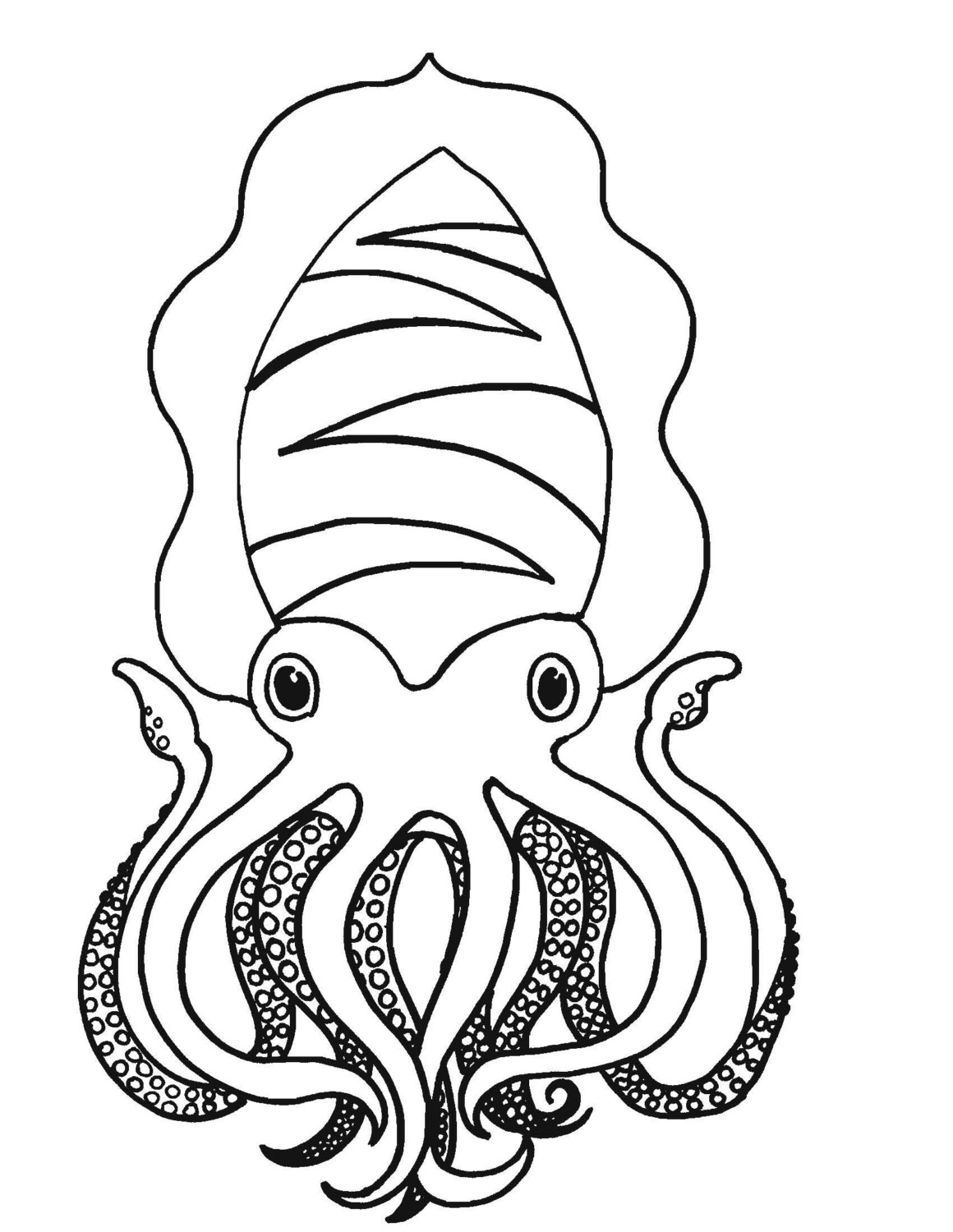 Coloring Squid Child Coloring