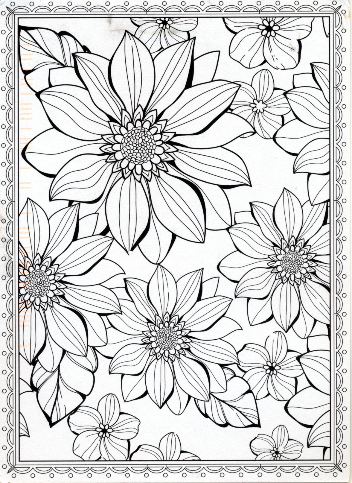 Flowers To Color Postcard From Liane In Rosenheim Germany Flower Coloring Pages Coloring