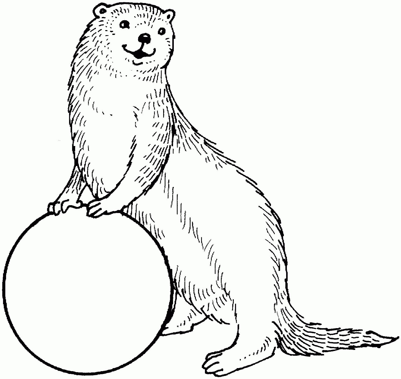Free Otter Coloring Pages