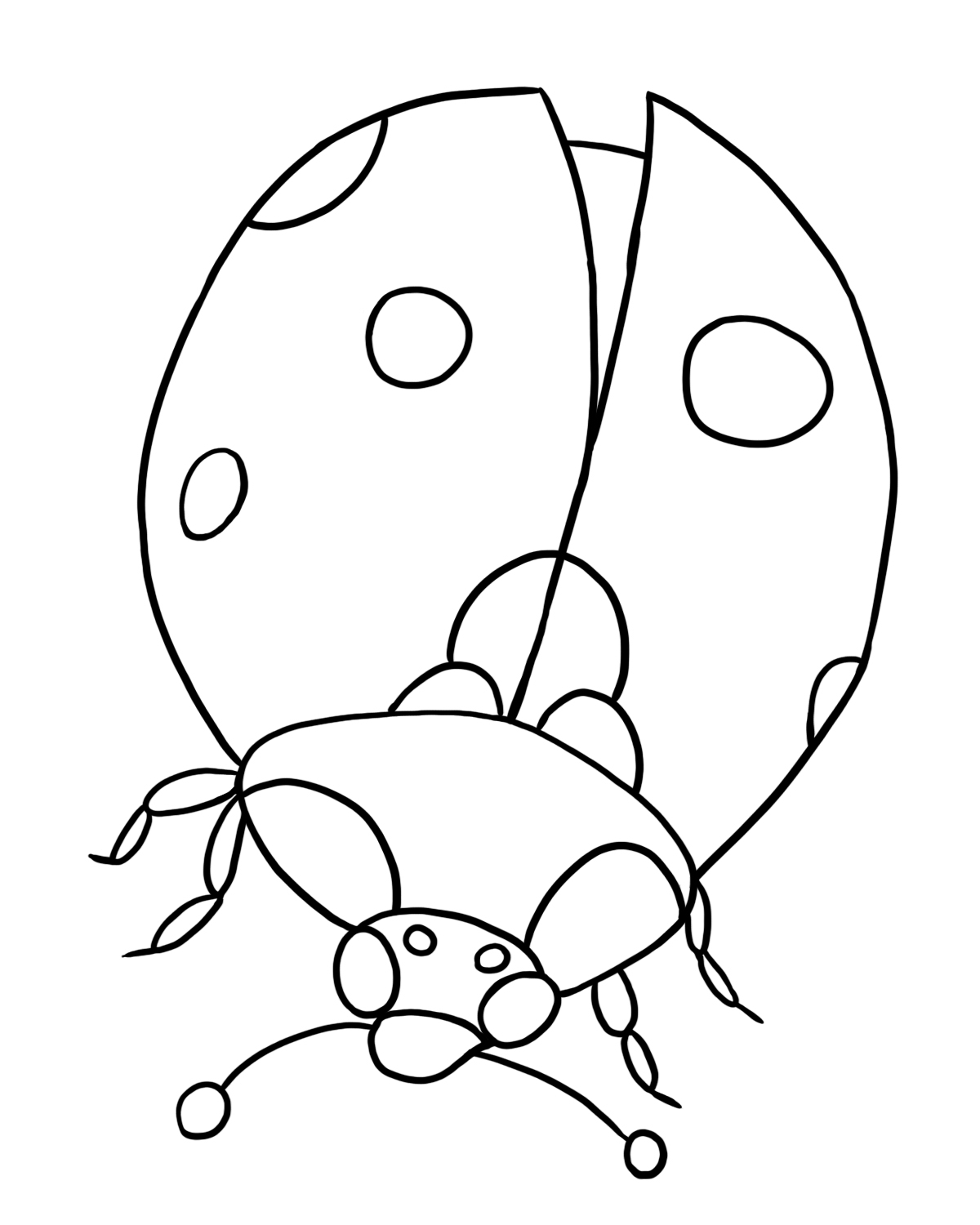 Bug Coloring Pages