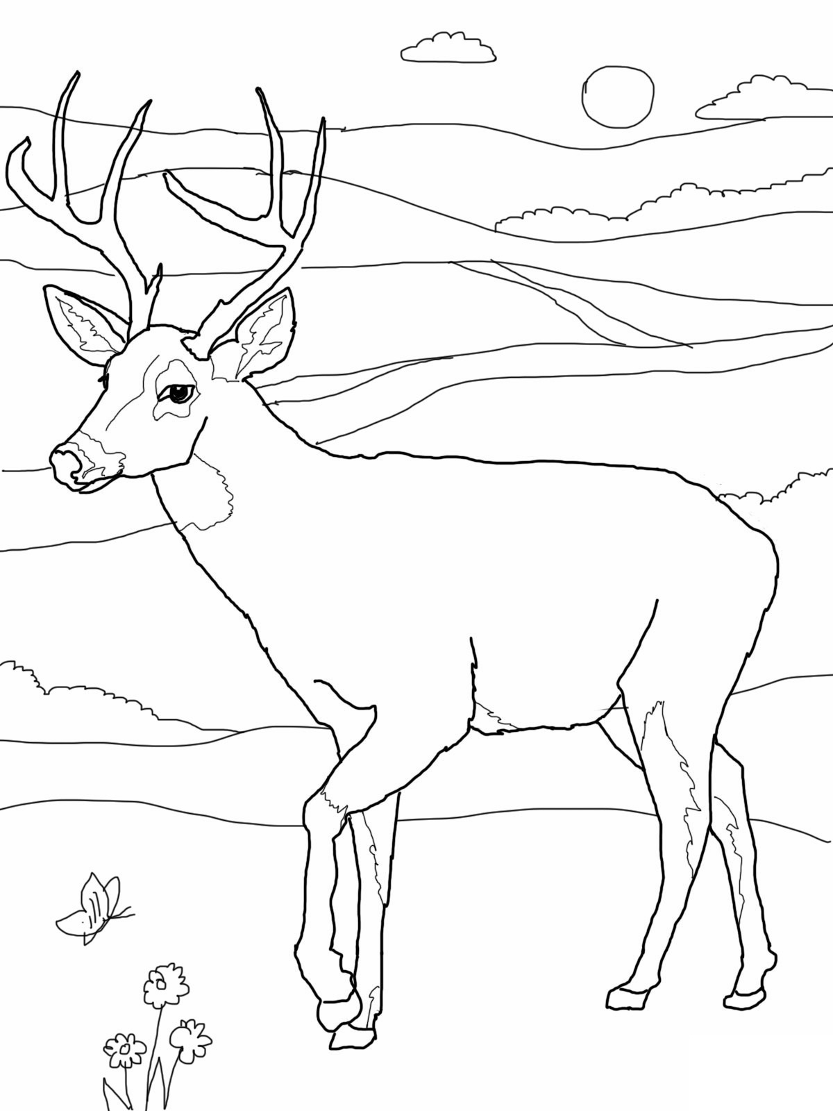 Deer Coloring Pages
