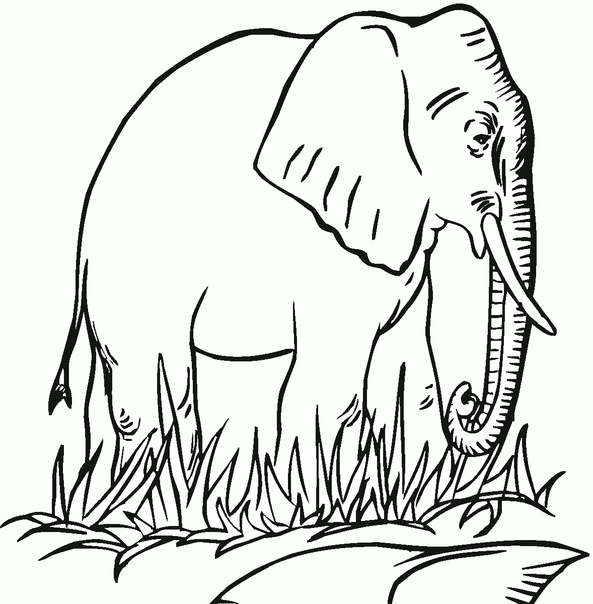 Free Printable Elephant Coloring Pages For Kids
