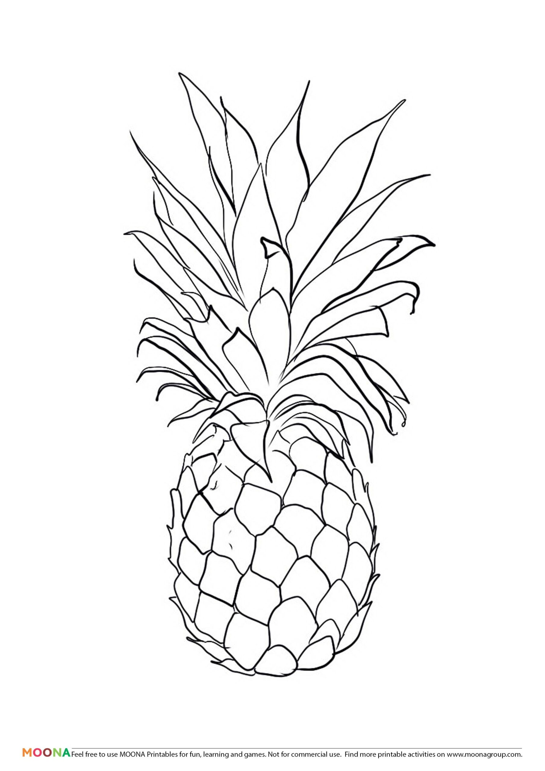 Pineapple Coloring Pages