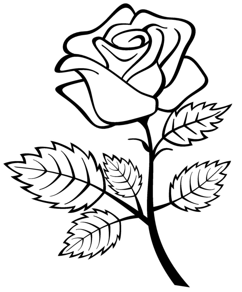 Rose Coloring Pages Free Printable