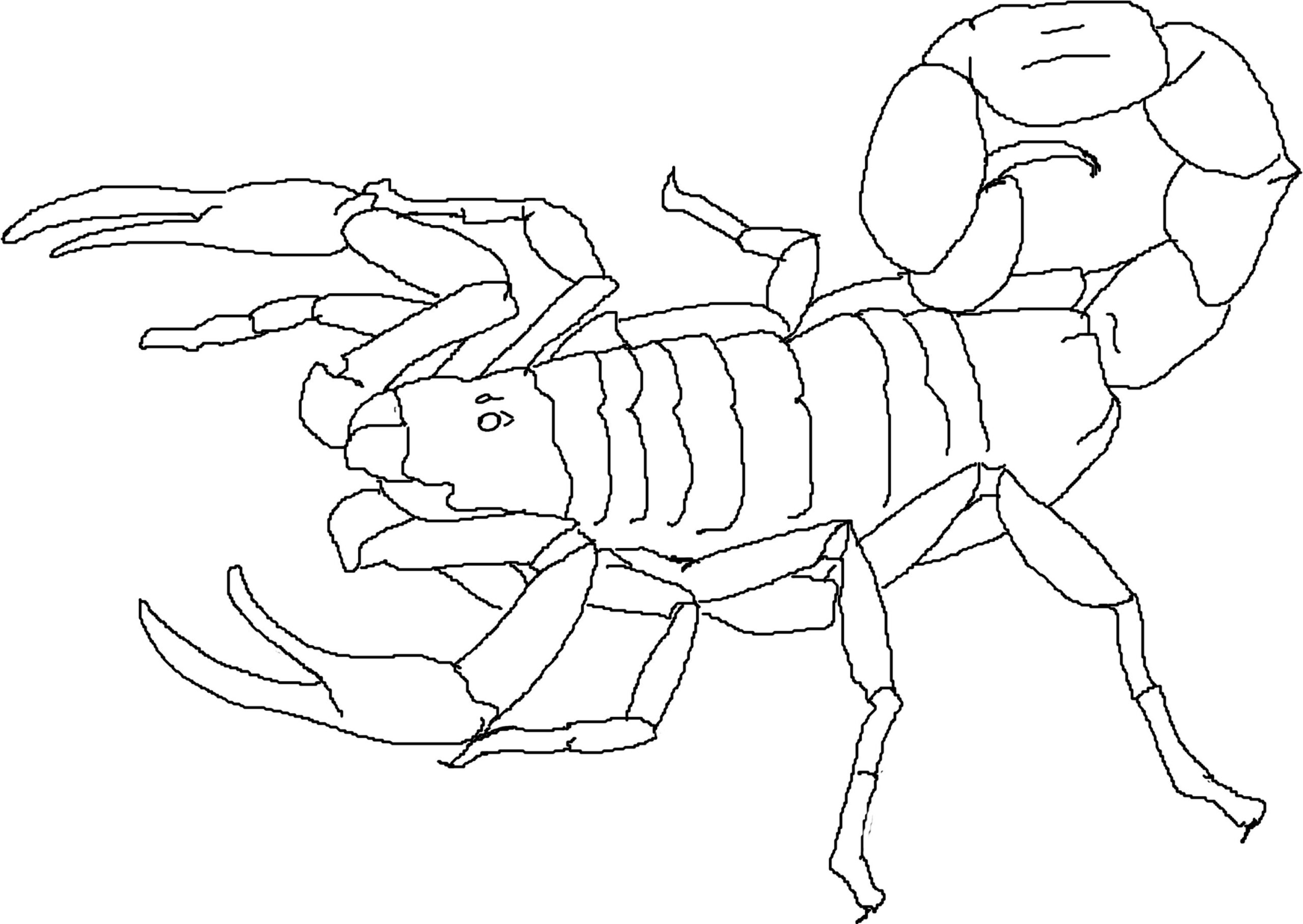 Free Printable Scorpion Coloring Pages For Kids