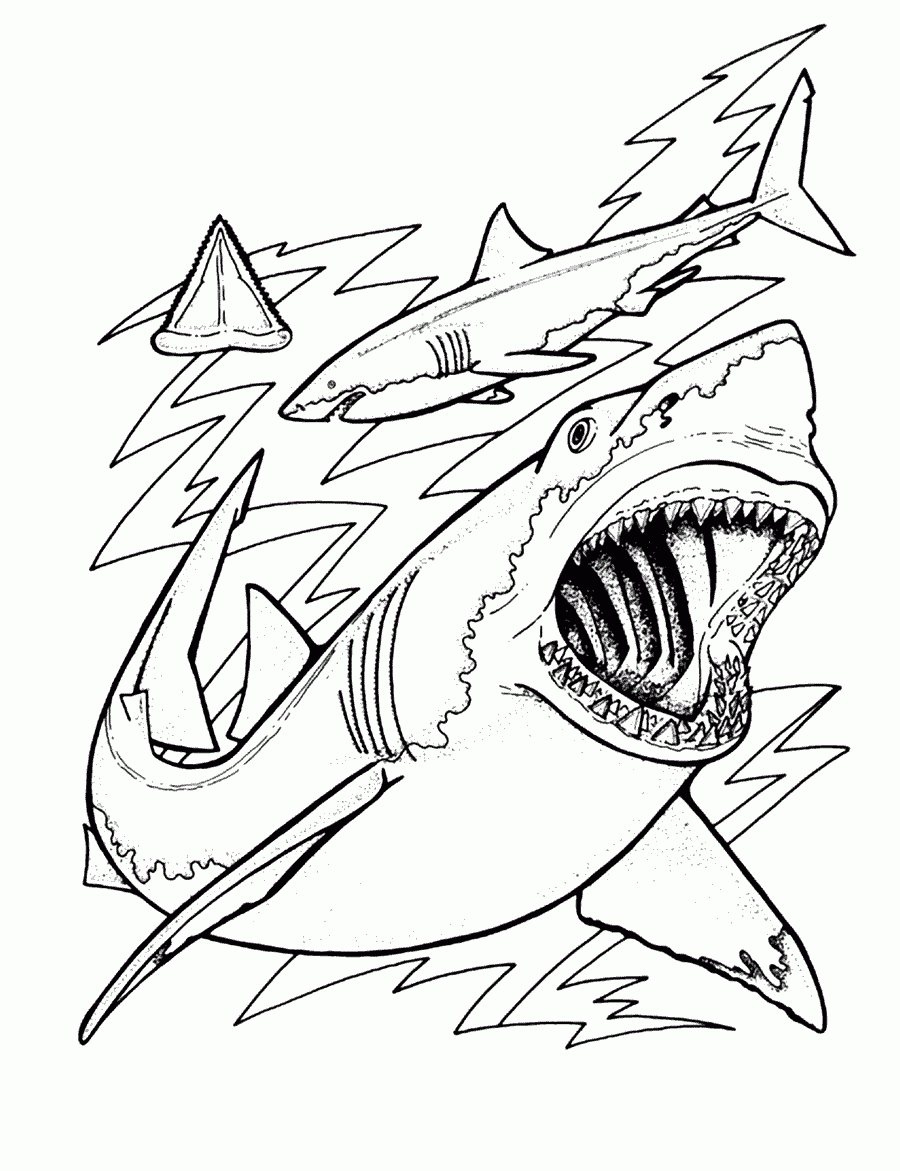 Coloring Pages For Sharks
