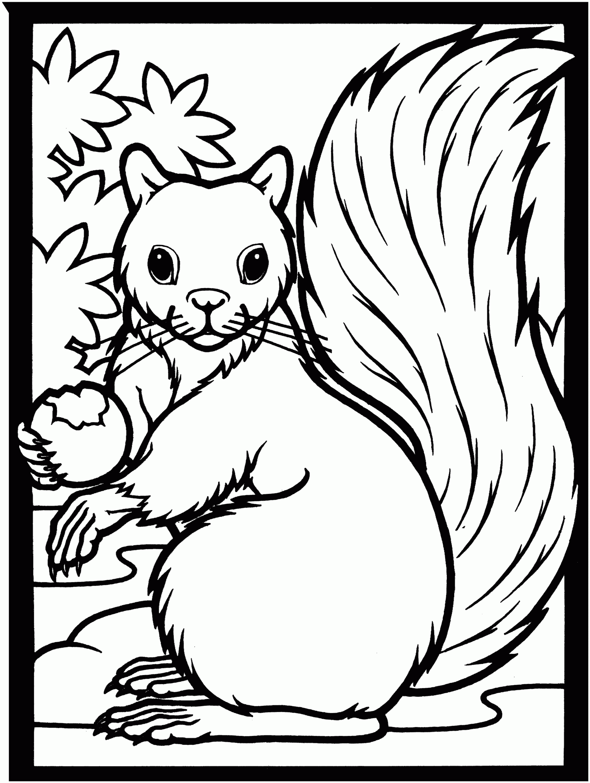 Free Squirrel Coloring Pages