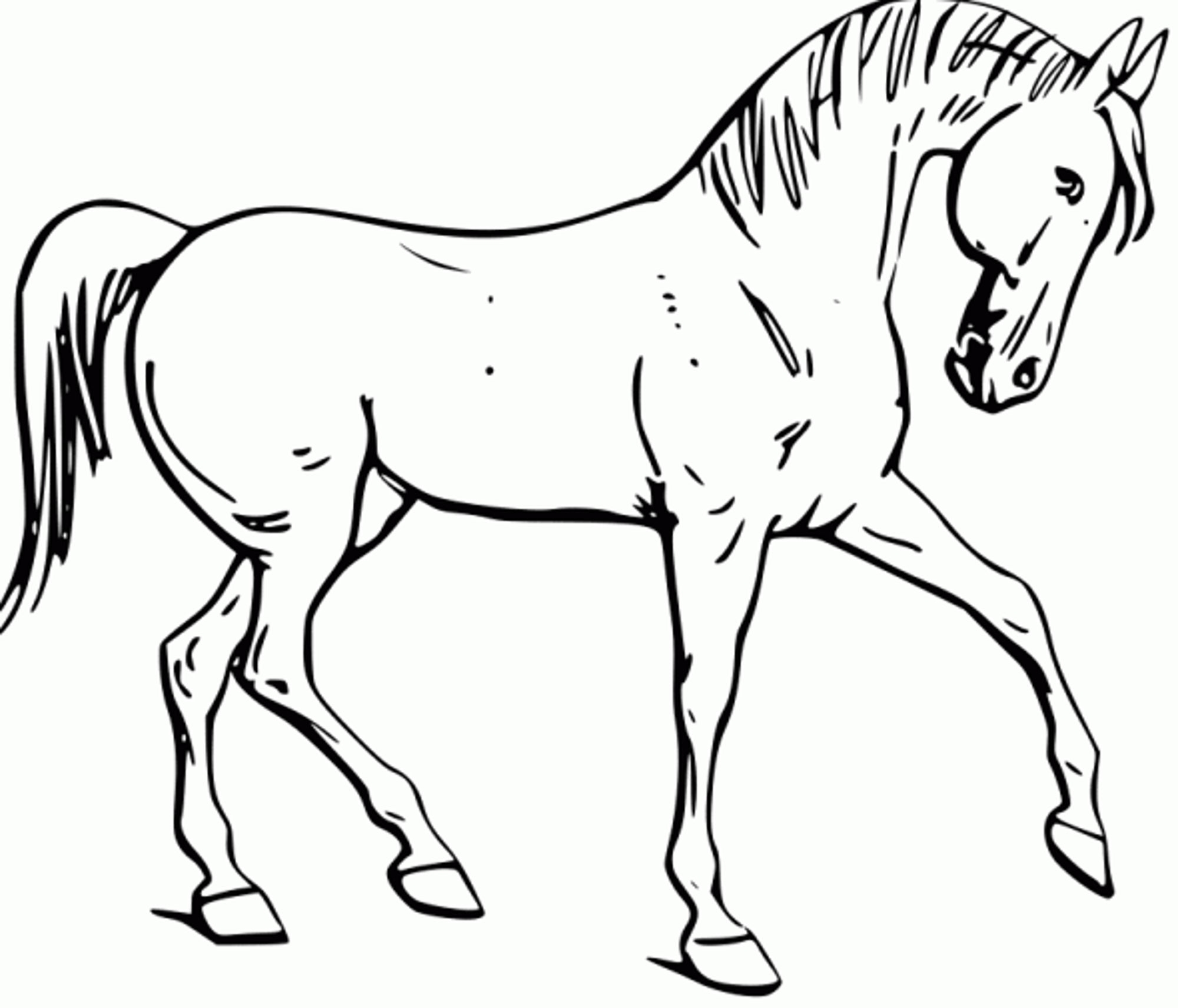 Horse Coloring Page