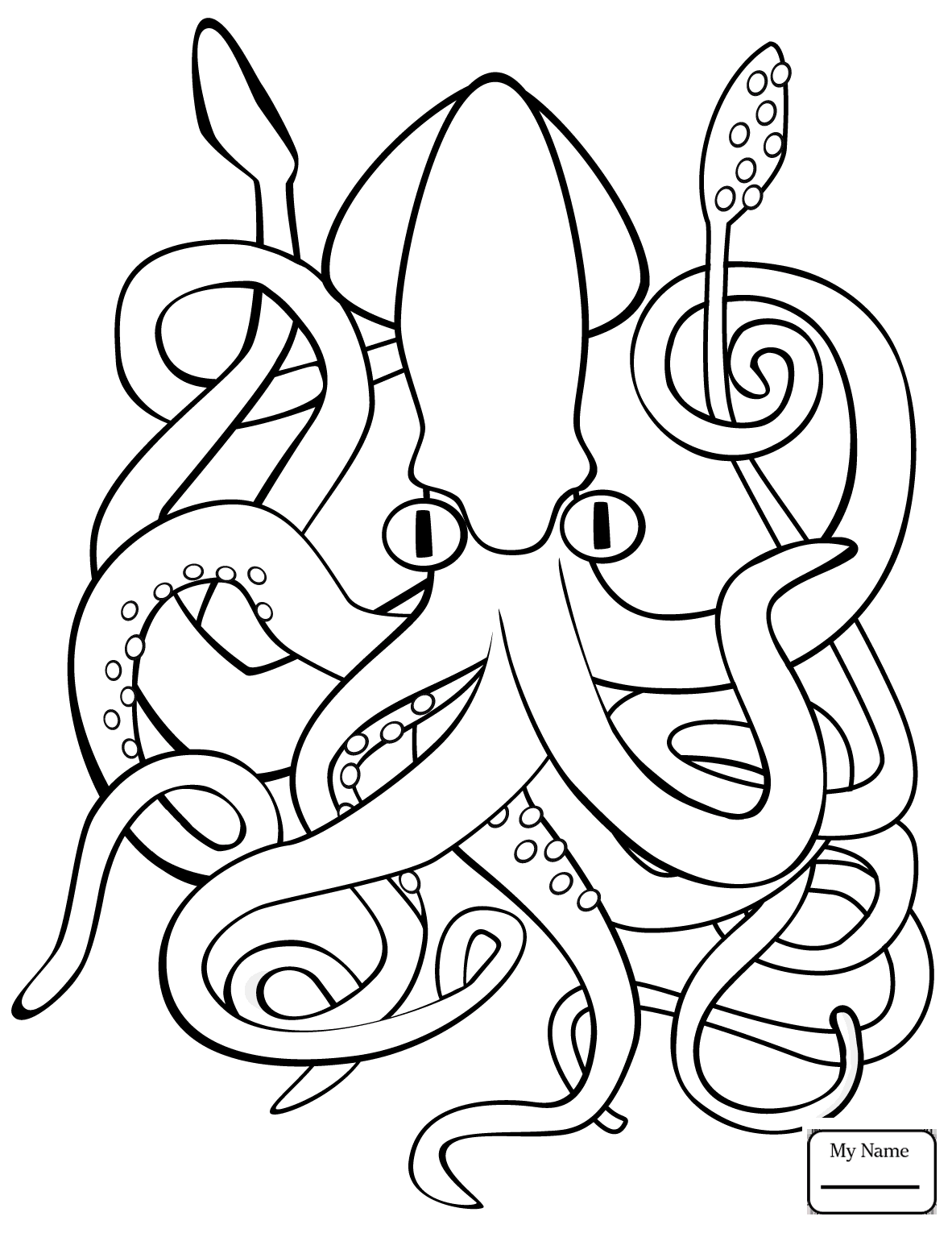 Giant Squid Drawing At GetDrawings Free Download