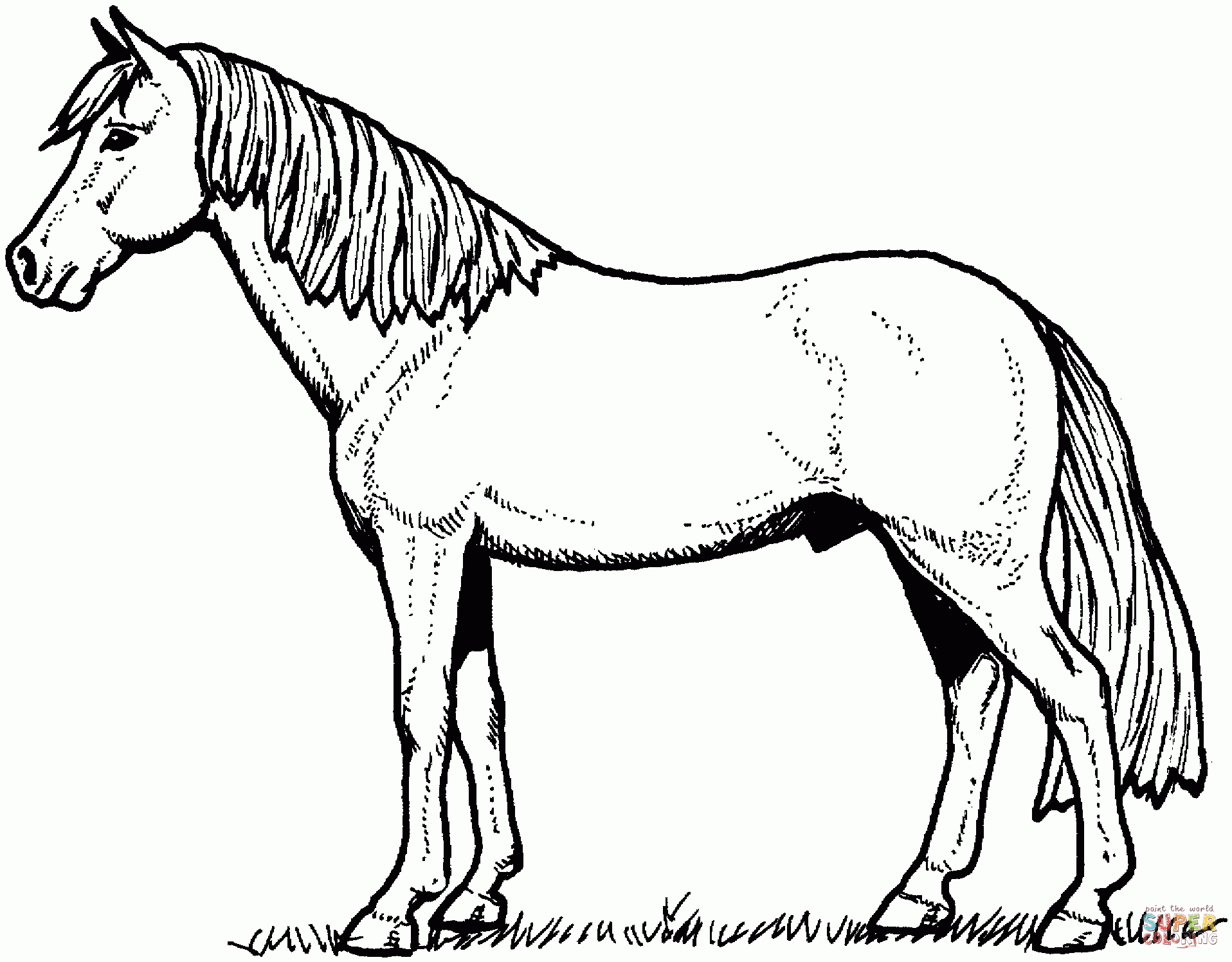 Horse Coloring Pages To Download And Print For Free
