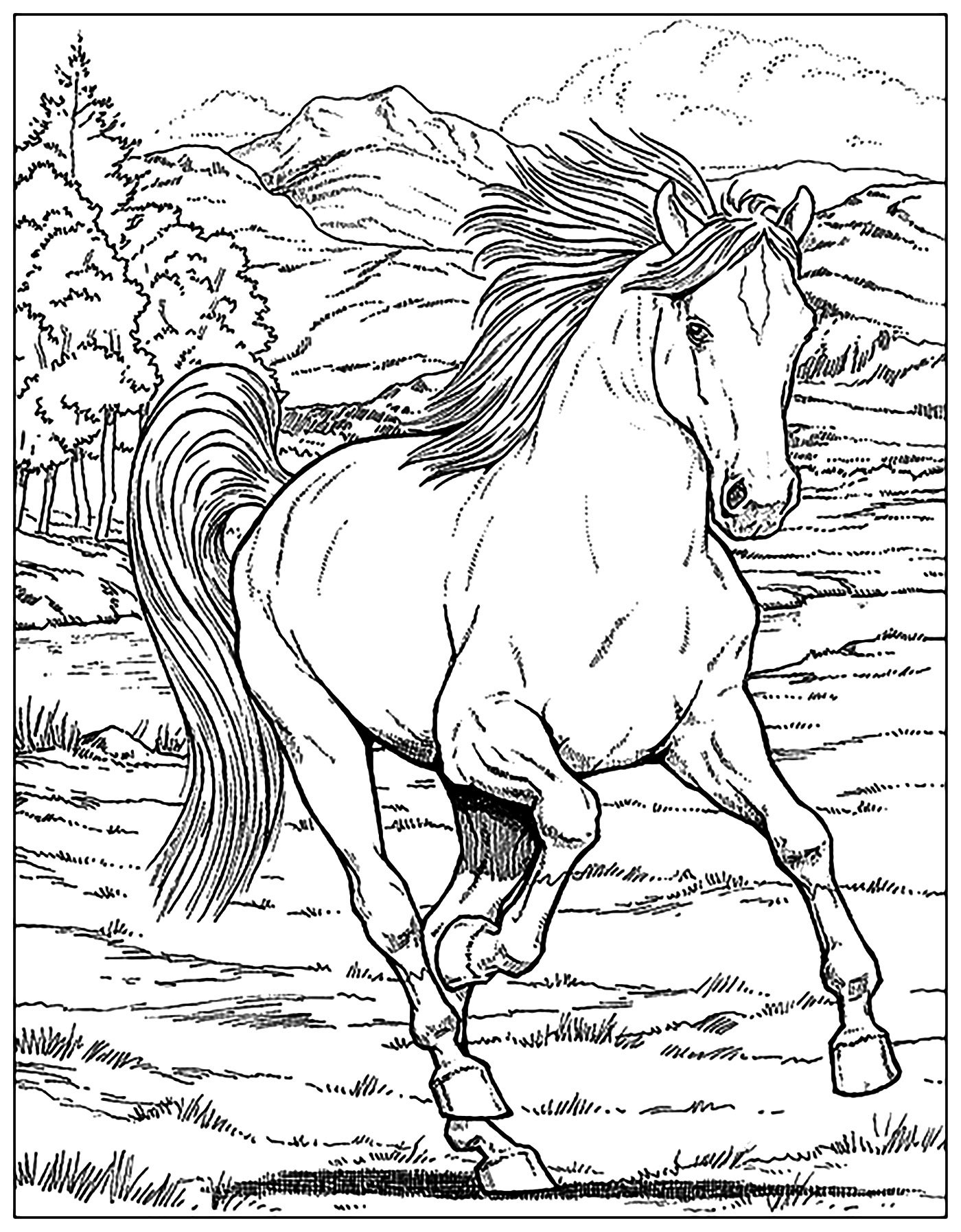 Horse Horses Coloring Pages For Adults