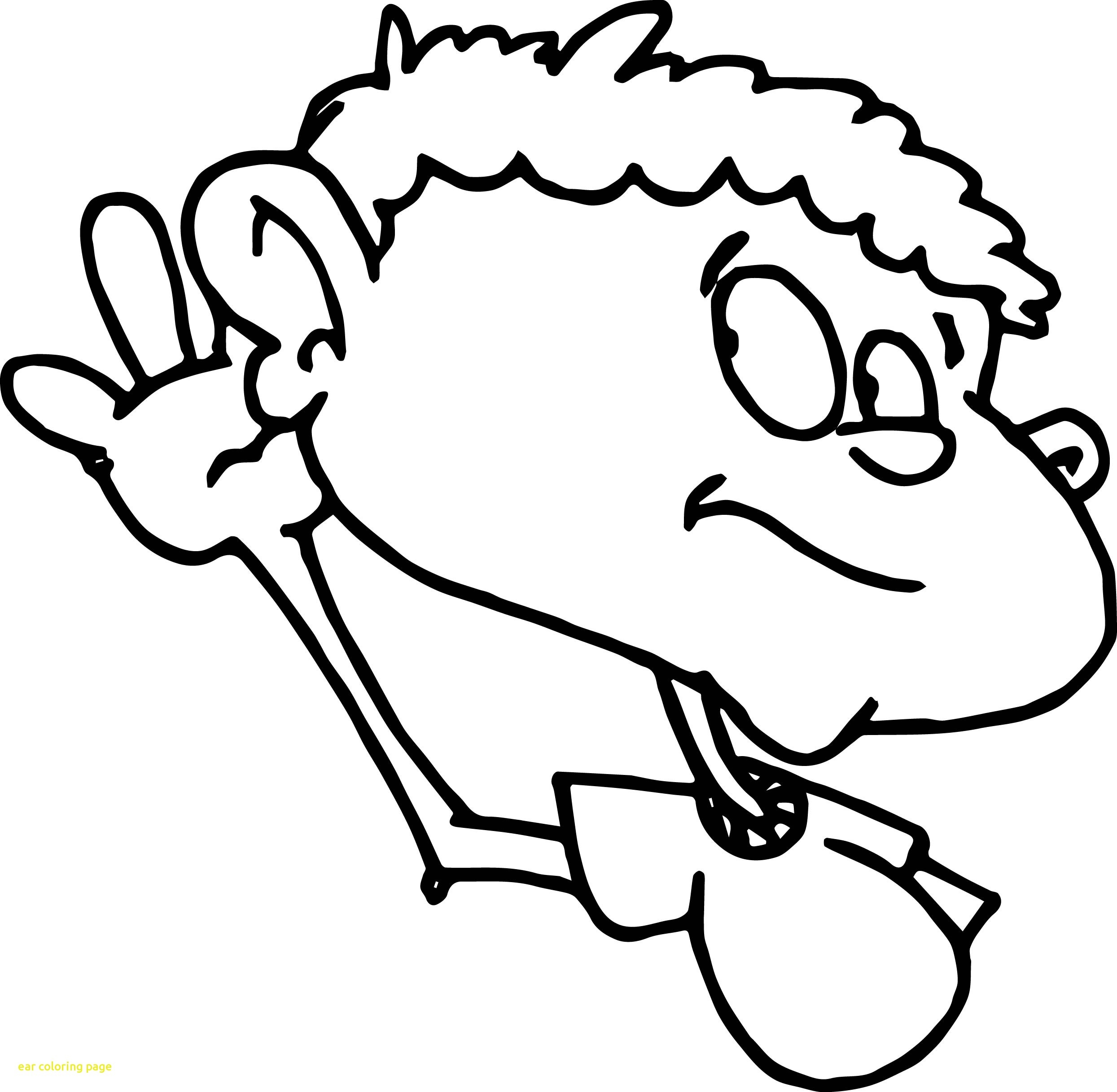 Human Ear Drawing At GetDrawings Free Download
