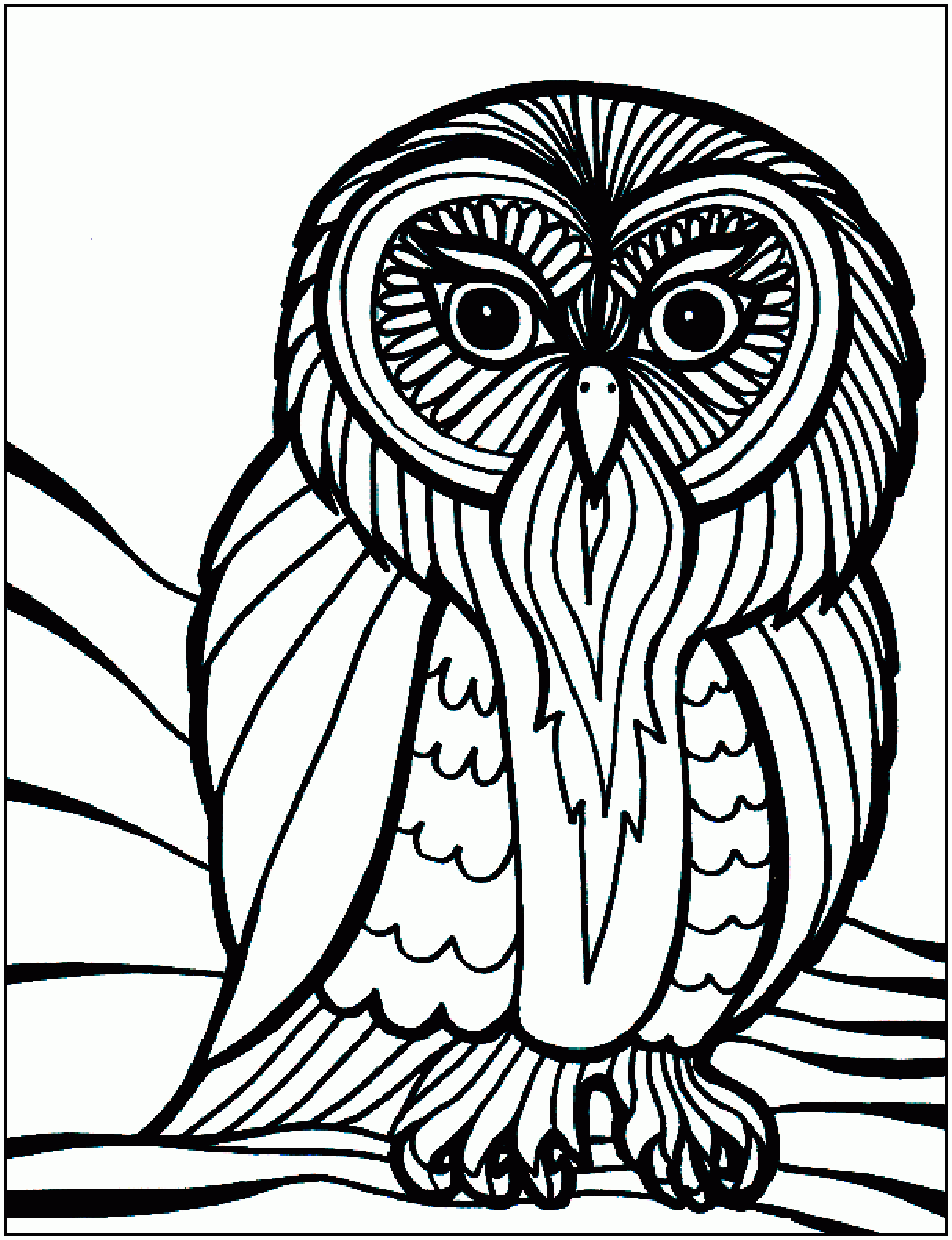 Kids Coloring Pages Birds