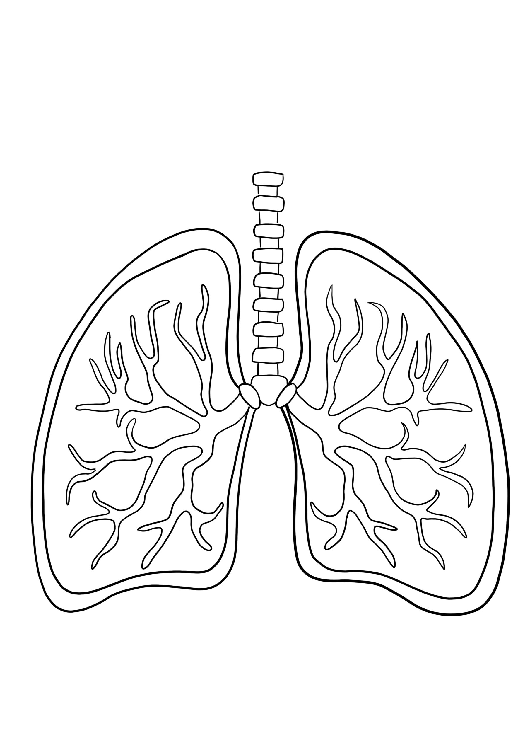 Lung Coloring Pages