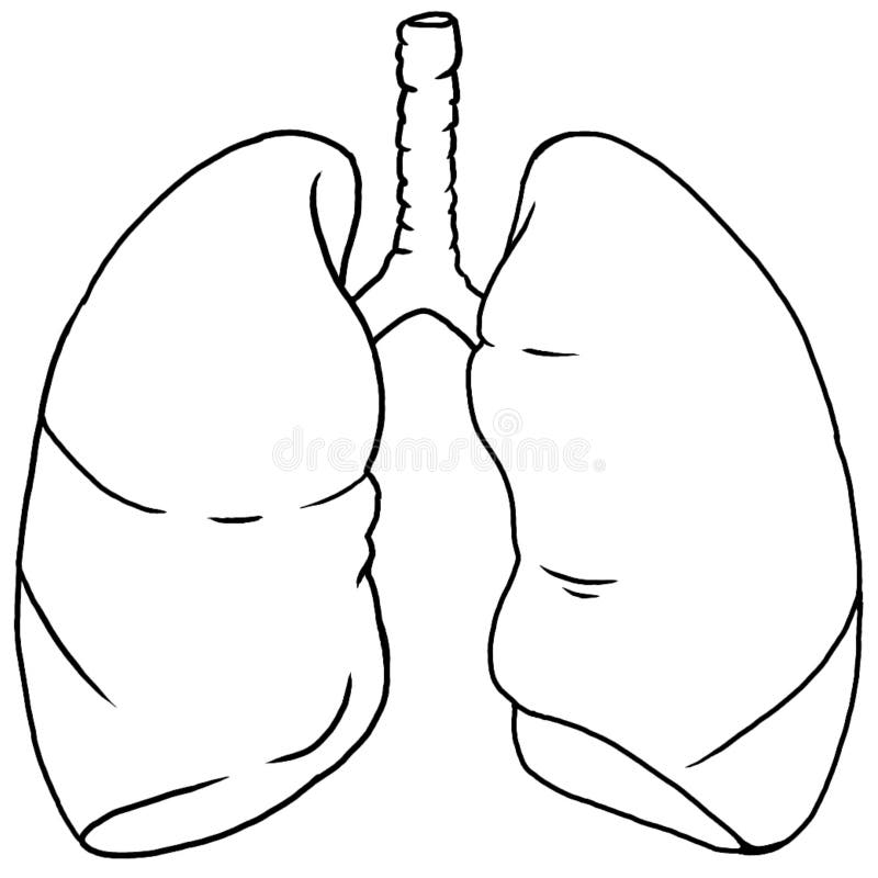 Lungs Coloring Page