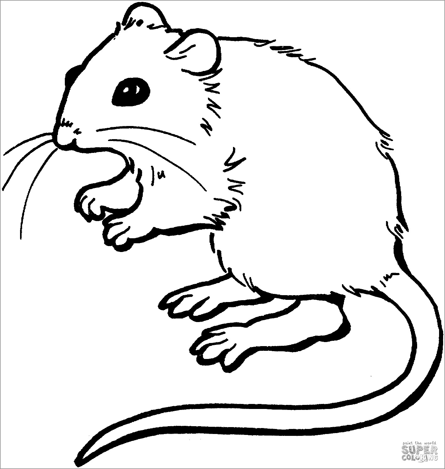 Mouse Coloring Page