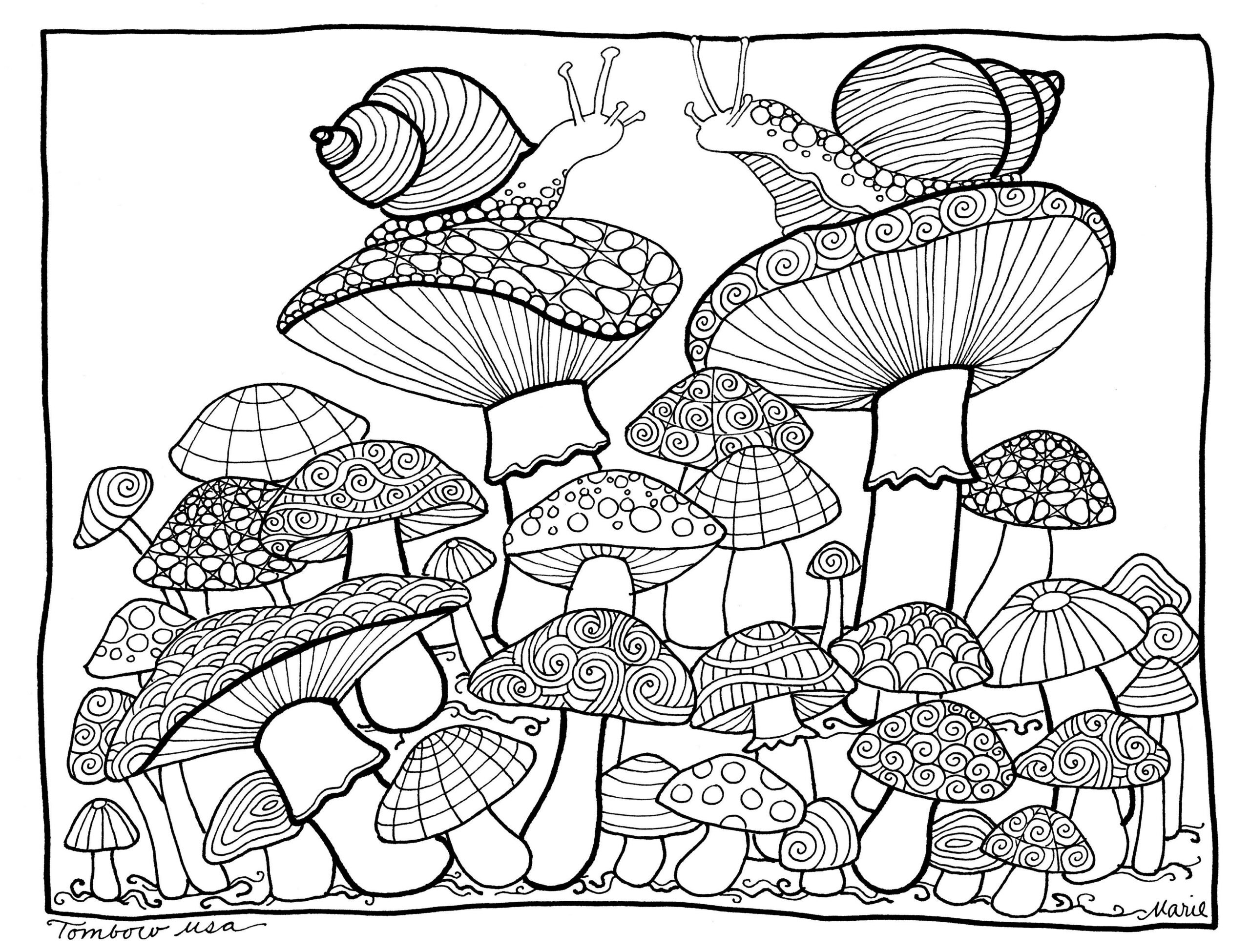 Mushroom Coloring Page At GetColorings Free Printable Colorings Pages To Print And Color
