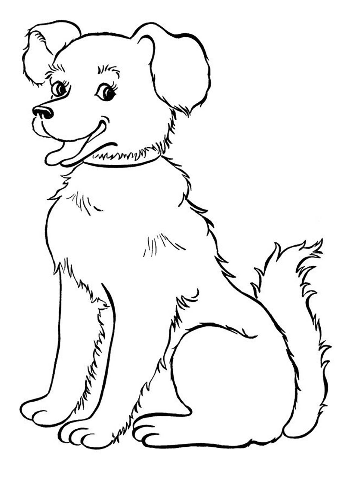 Pages Coloring Dog Dogs Puppy Colouring Printable Activity Sketch Coloring Page