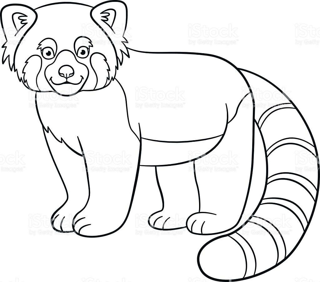 Pandas Rojo Roux Dolphin 99worksheets Coloringbay Sketch Coloring Page