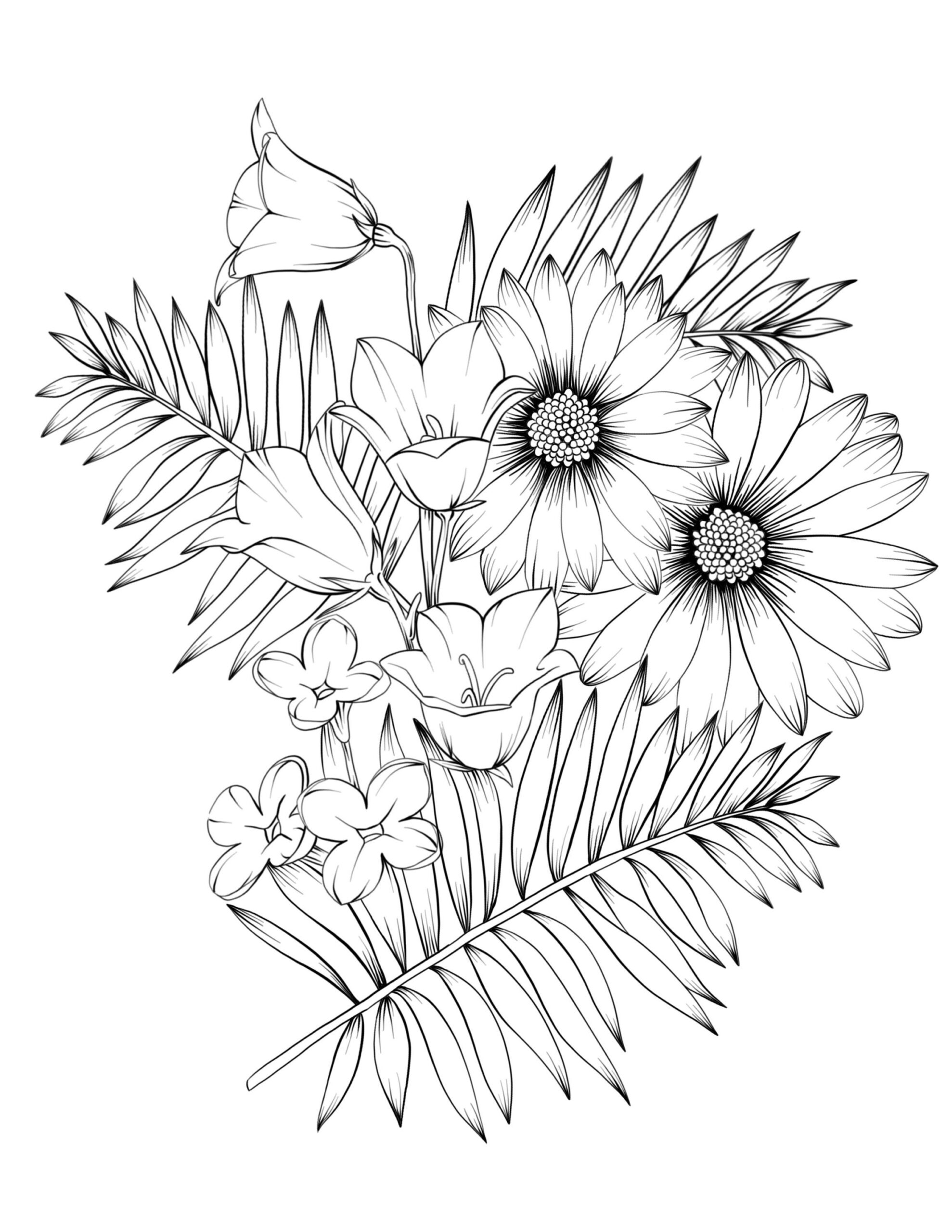 Pin On Artforms In Nature