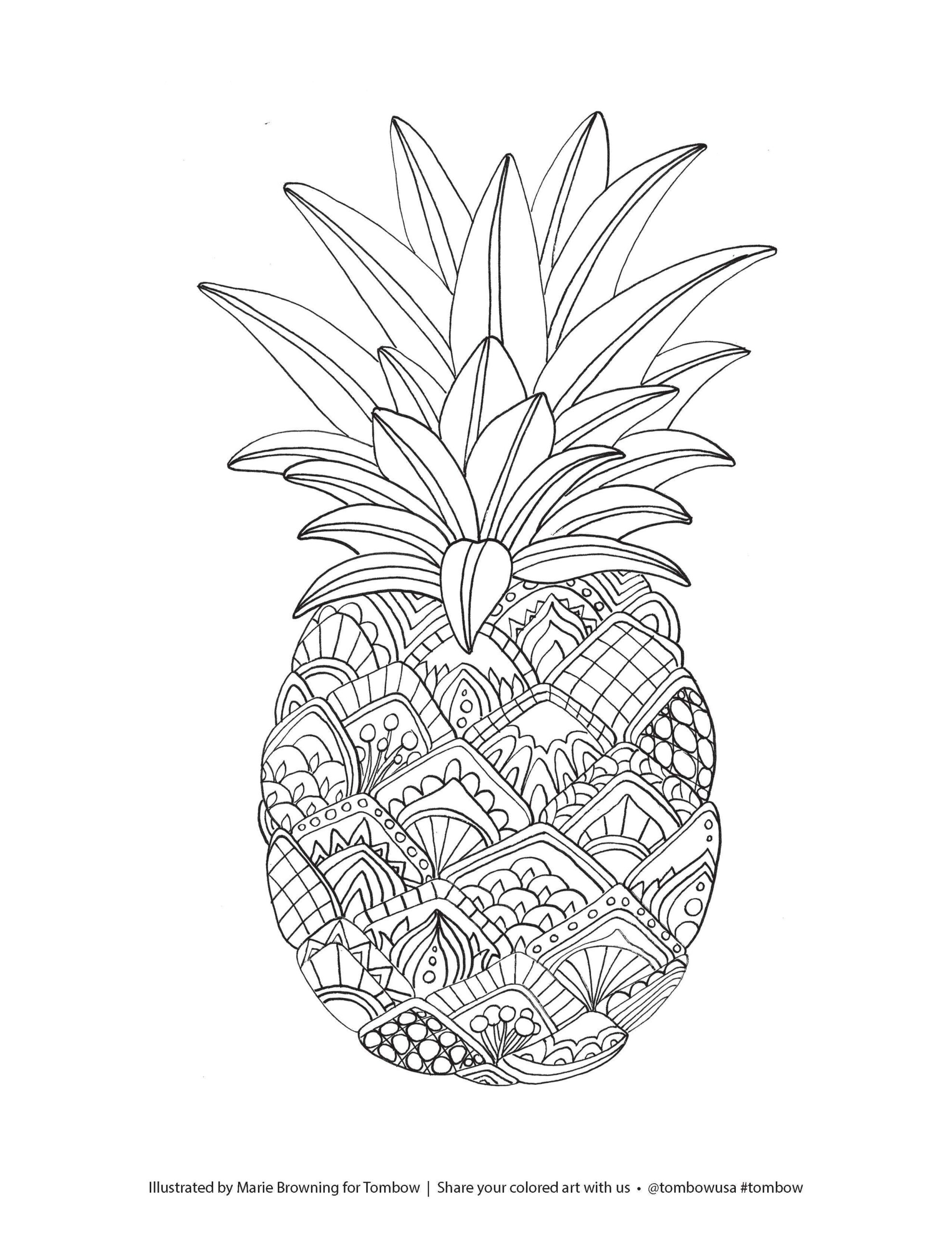 Pineapple Coloring Page Images 287 Best Quality File