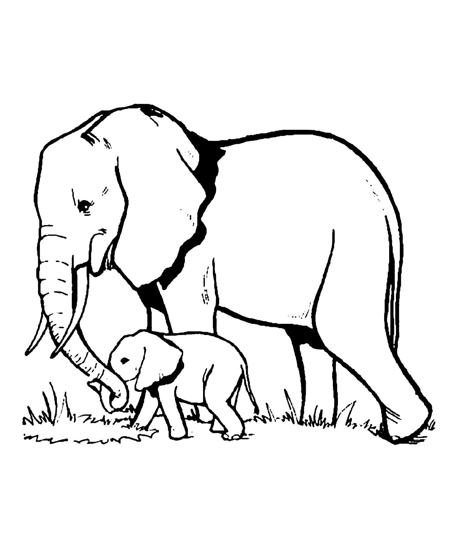 Printable Coloring Pages Of Elephants