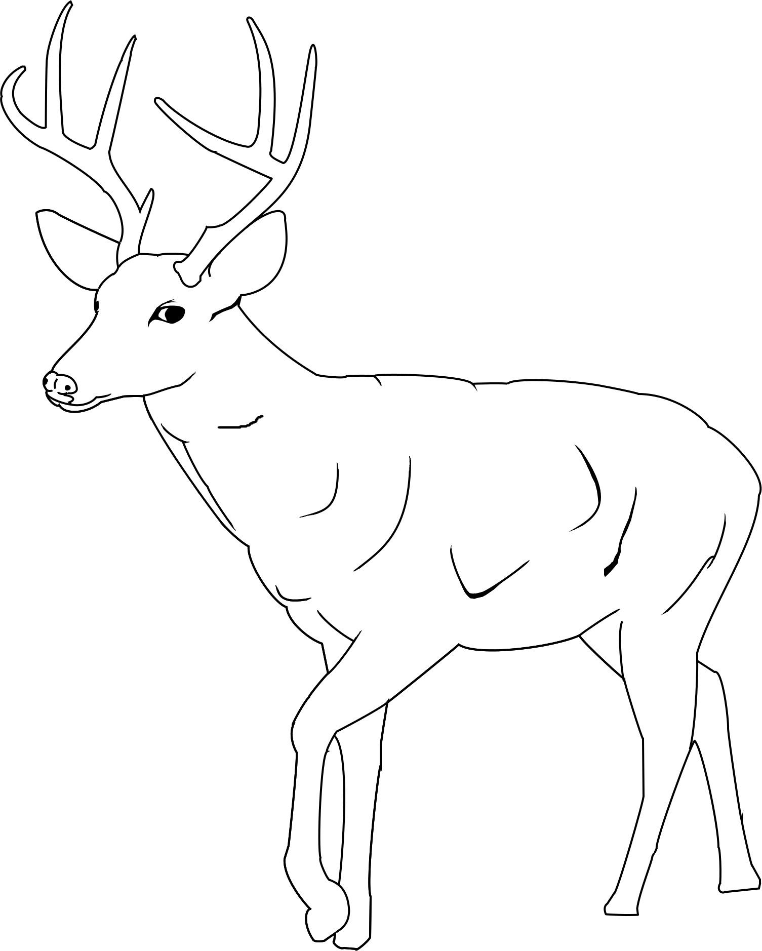 Printable Deer Coloring Pages ColoringMe