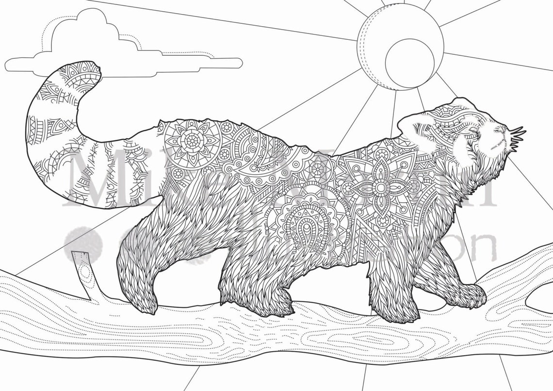 Printable Red Panda Coloring Page Instant Download Adult Coloring Page Etsy