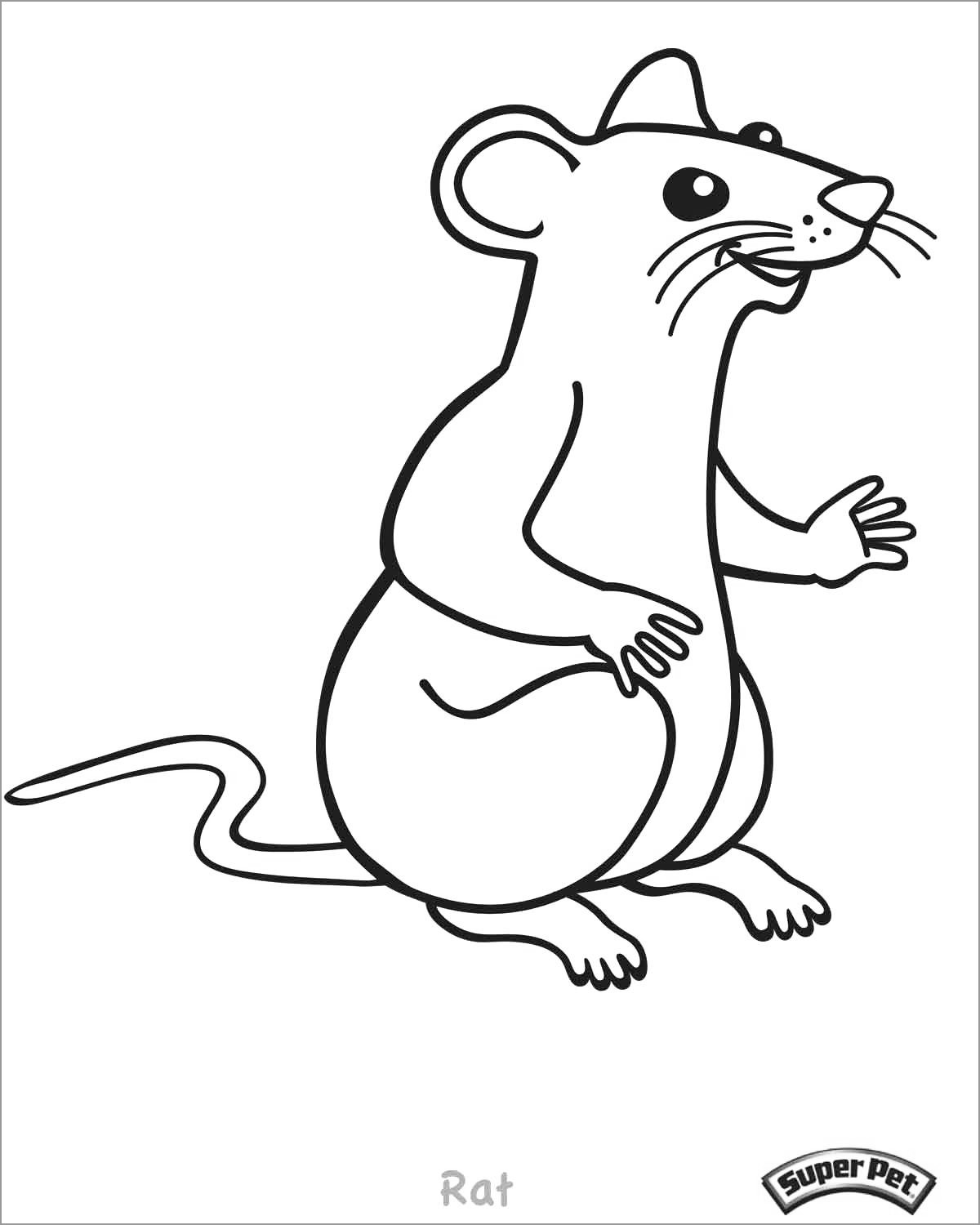 Printable Coloring Pages Rats