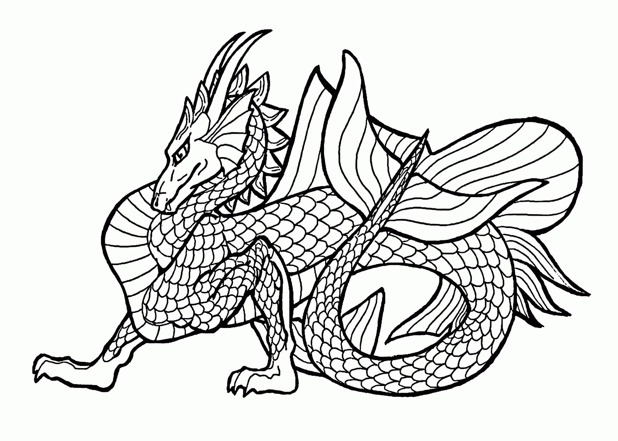 Realistic Dragon Coloring Pages BubaKids