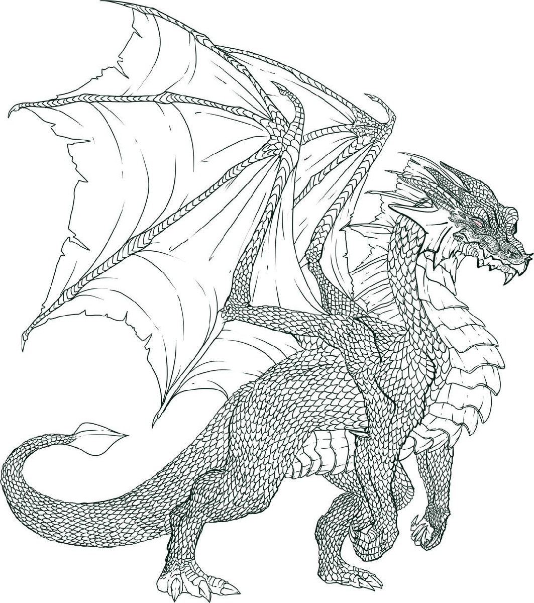 Realistic Dragon Coloring Pages K5 Worksheets