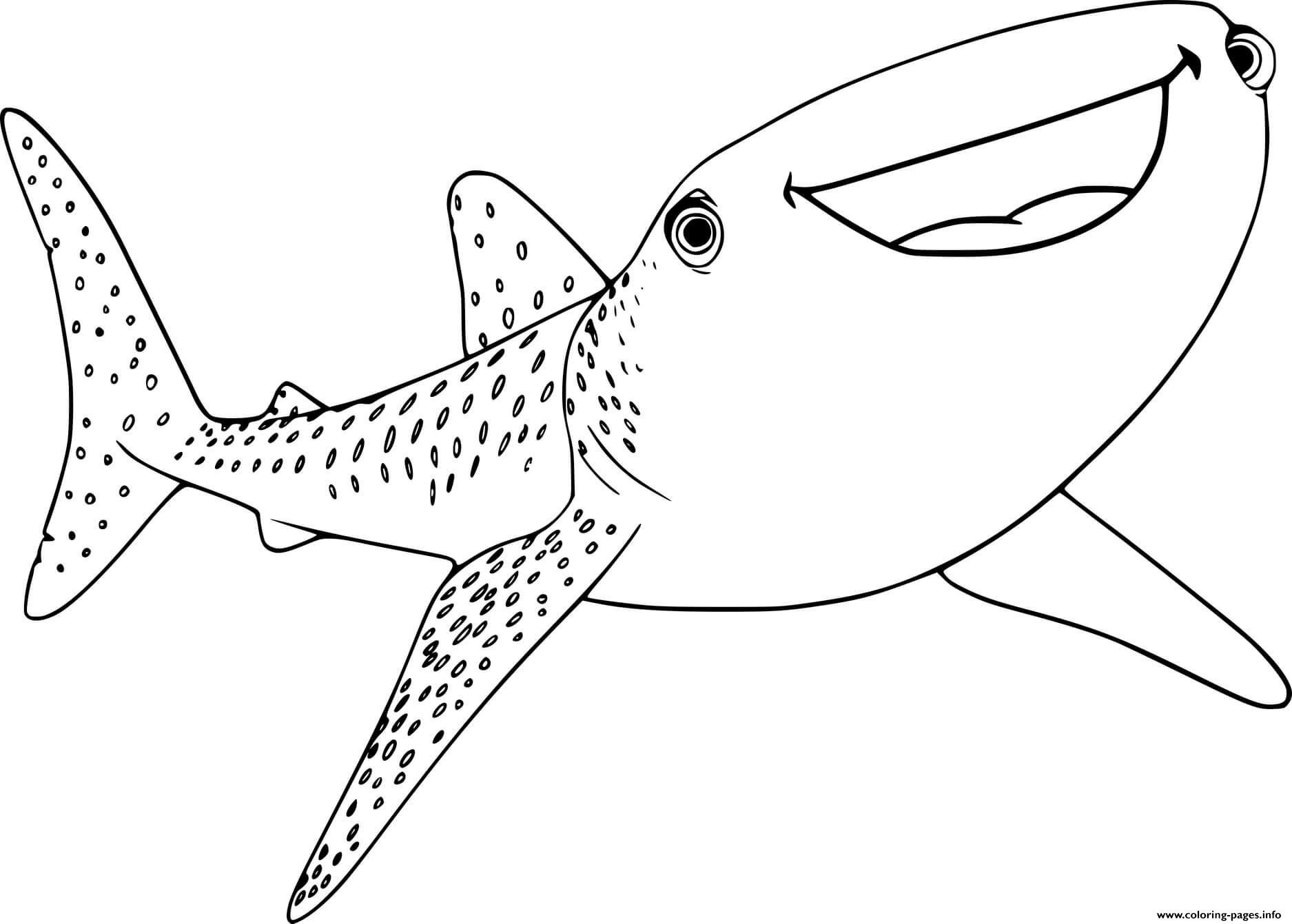 Smiling Whale Shark Coloring Page Printable